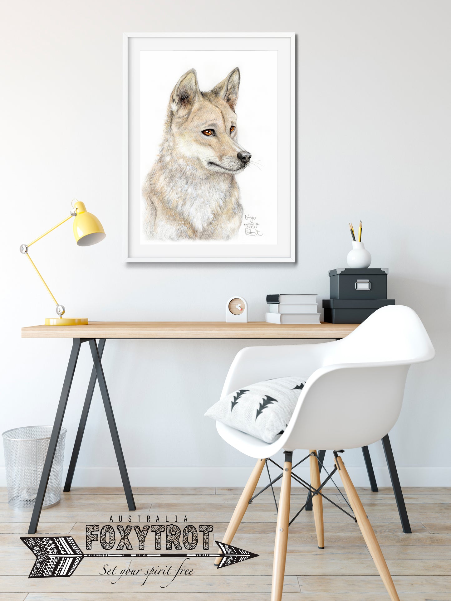 Dingo