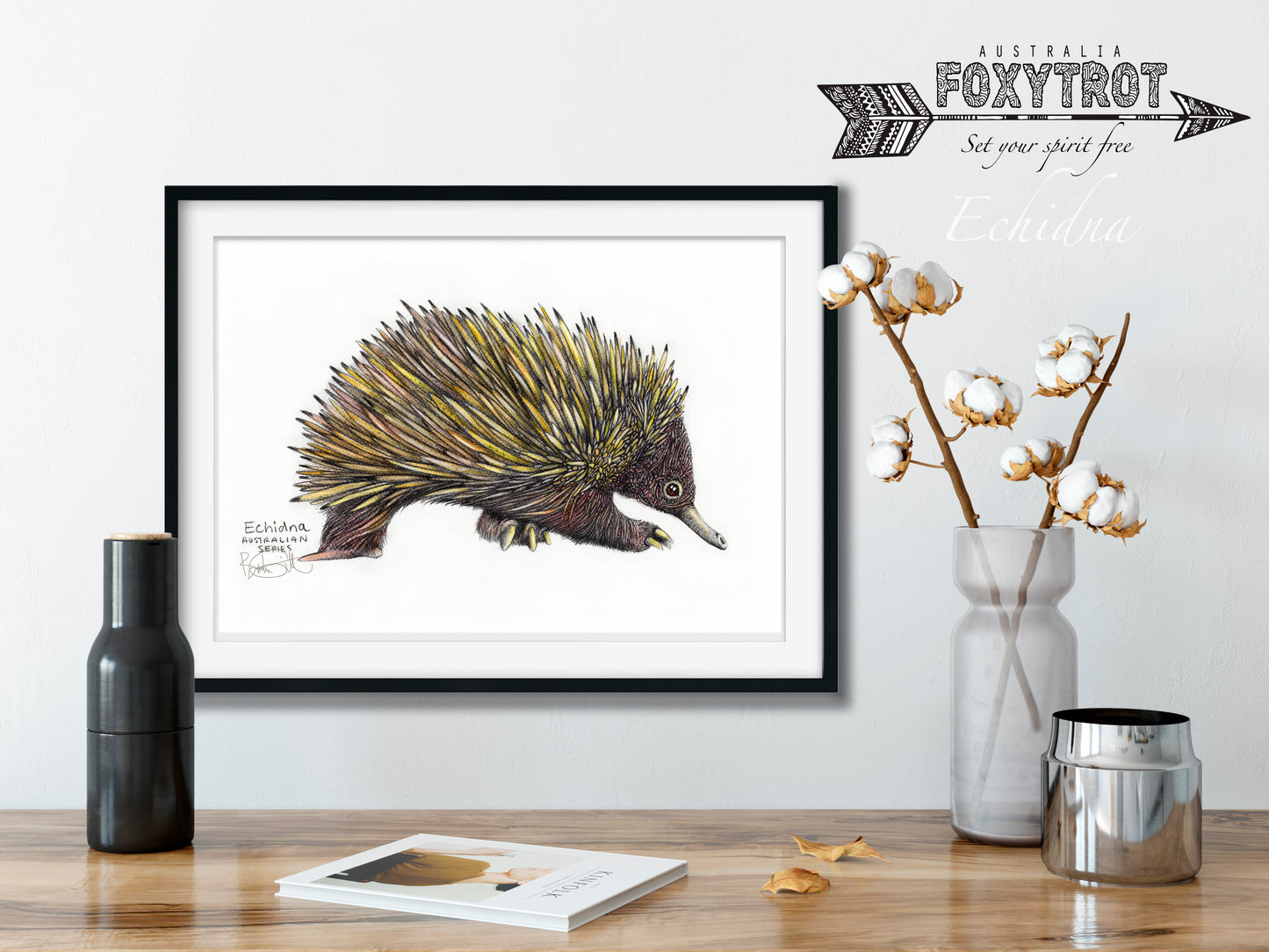 Echidna