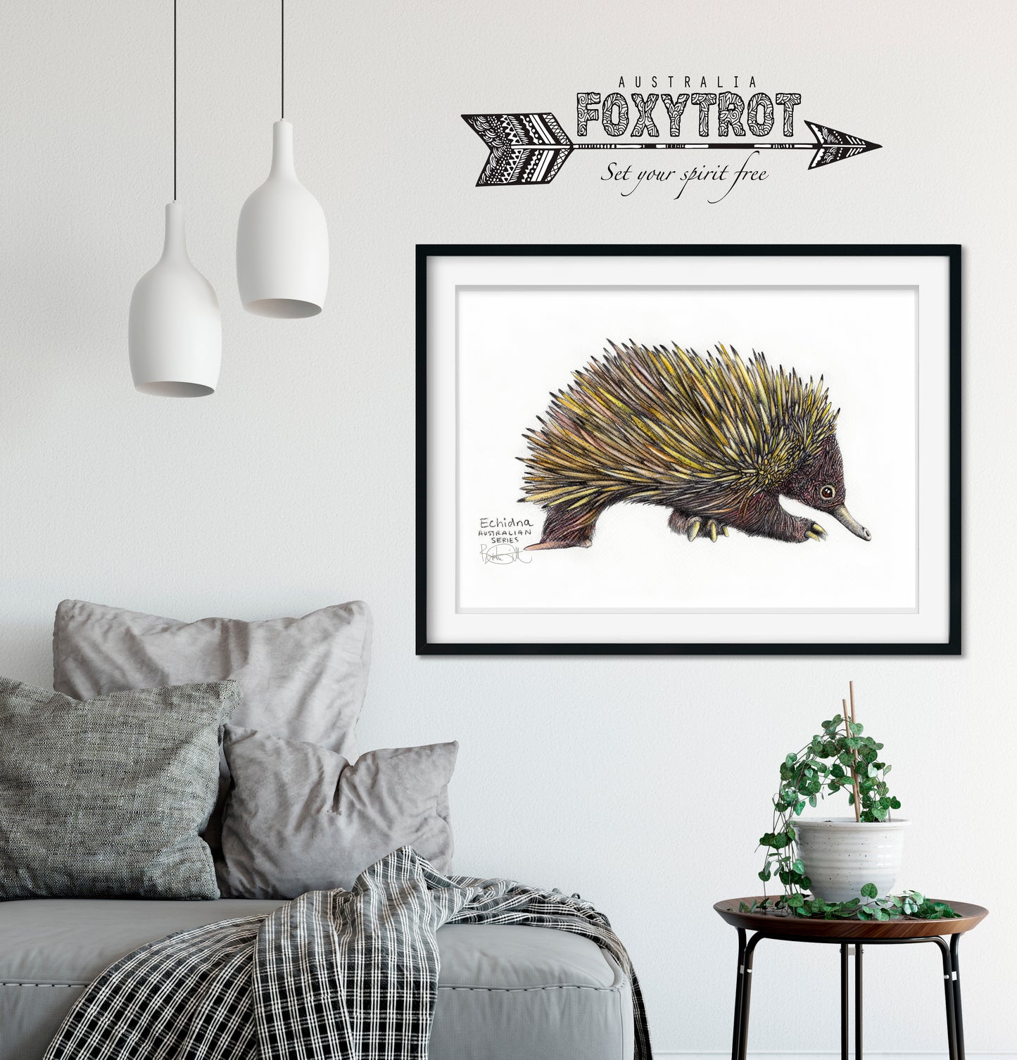 Echidna