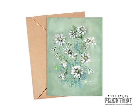 Flannel Flower Card