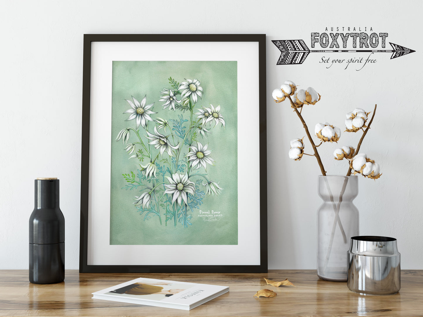 Flannel Flower