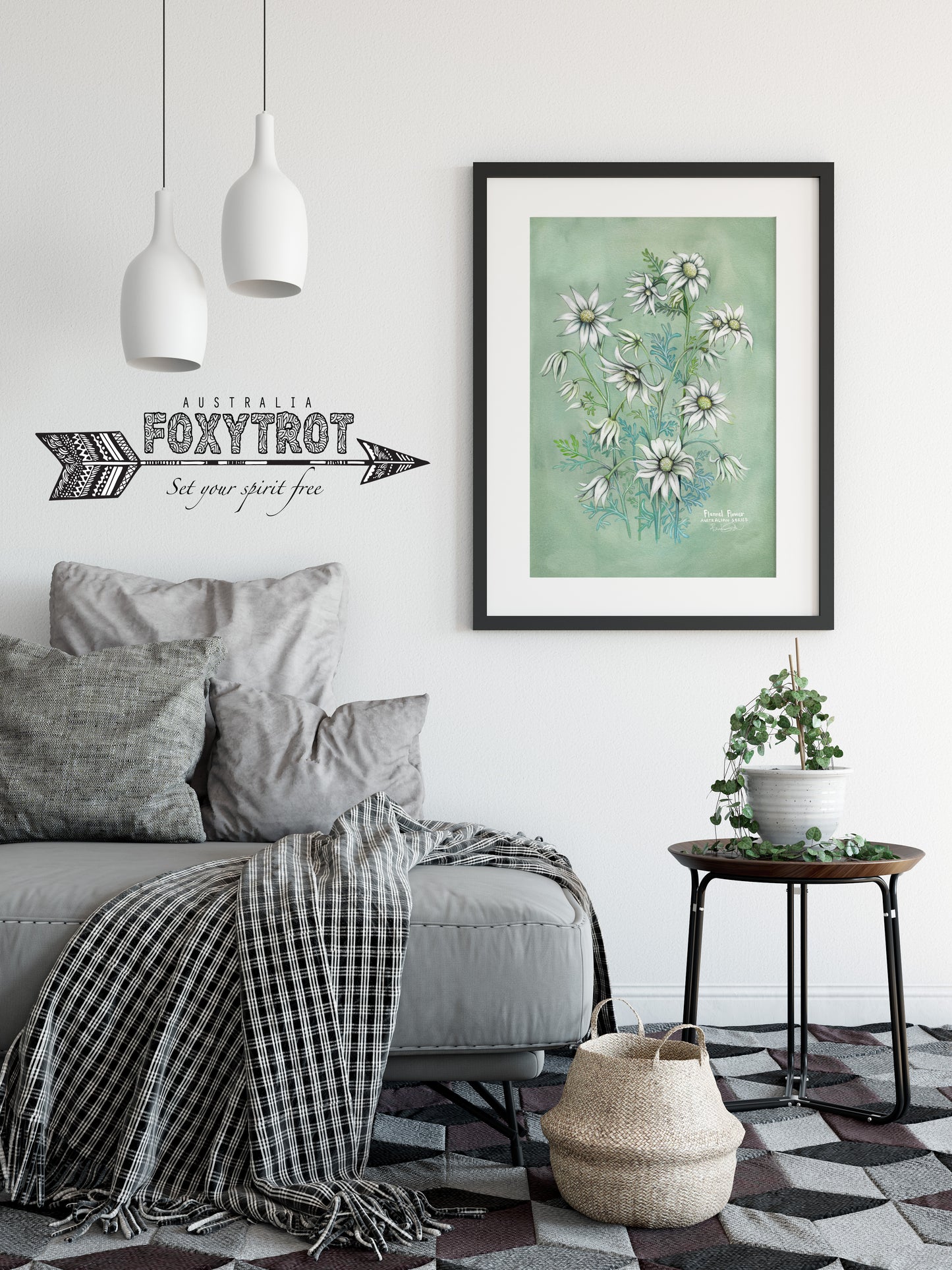 Flannel Flower