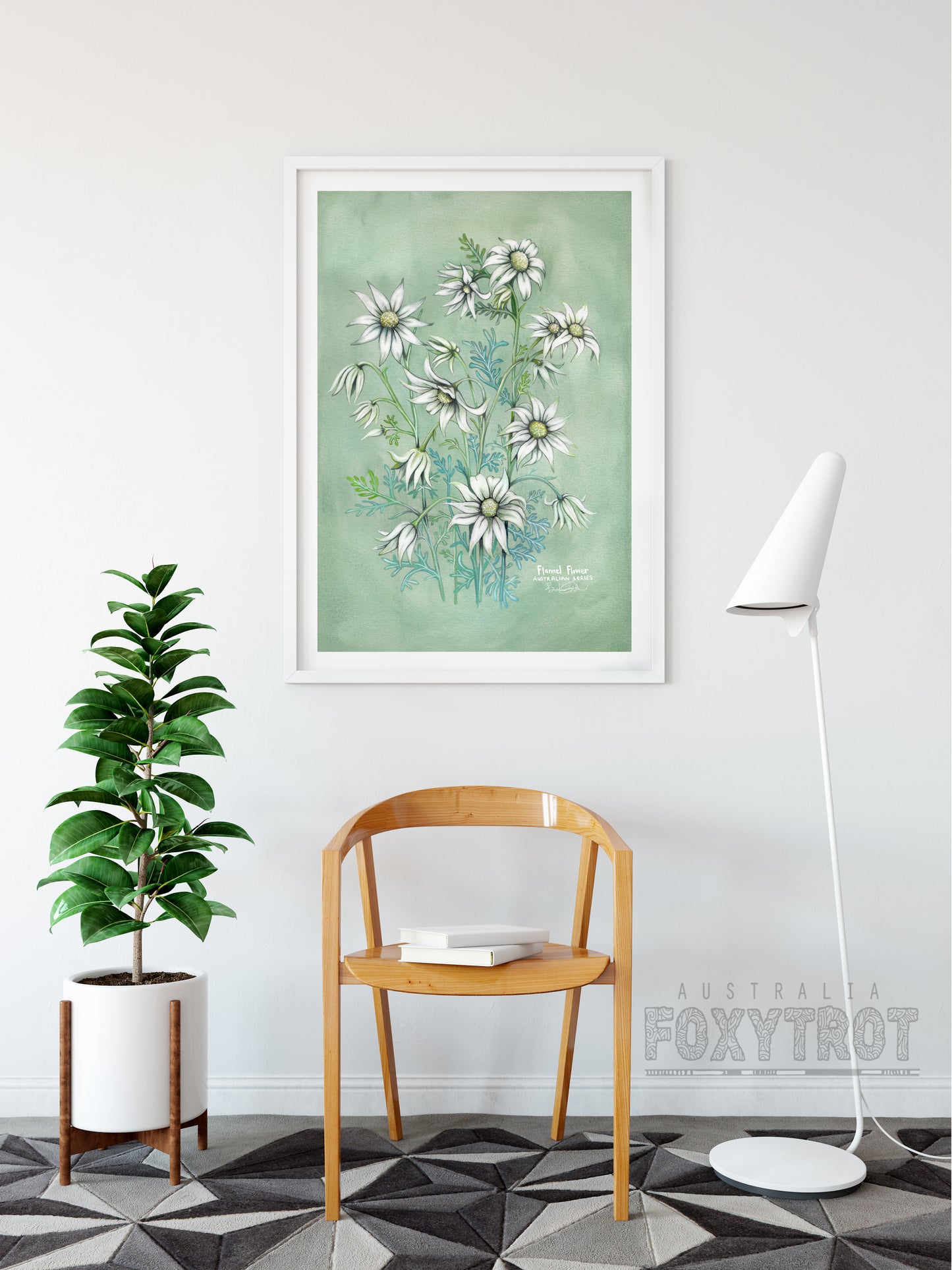 Flannel Flower