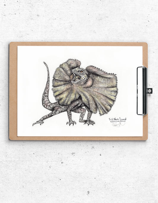 Frill Neck Lizard