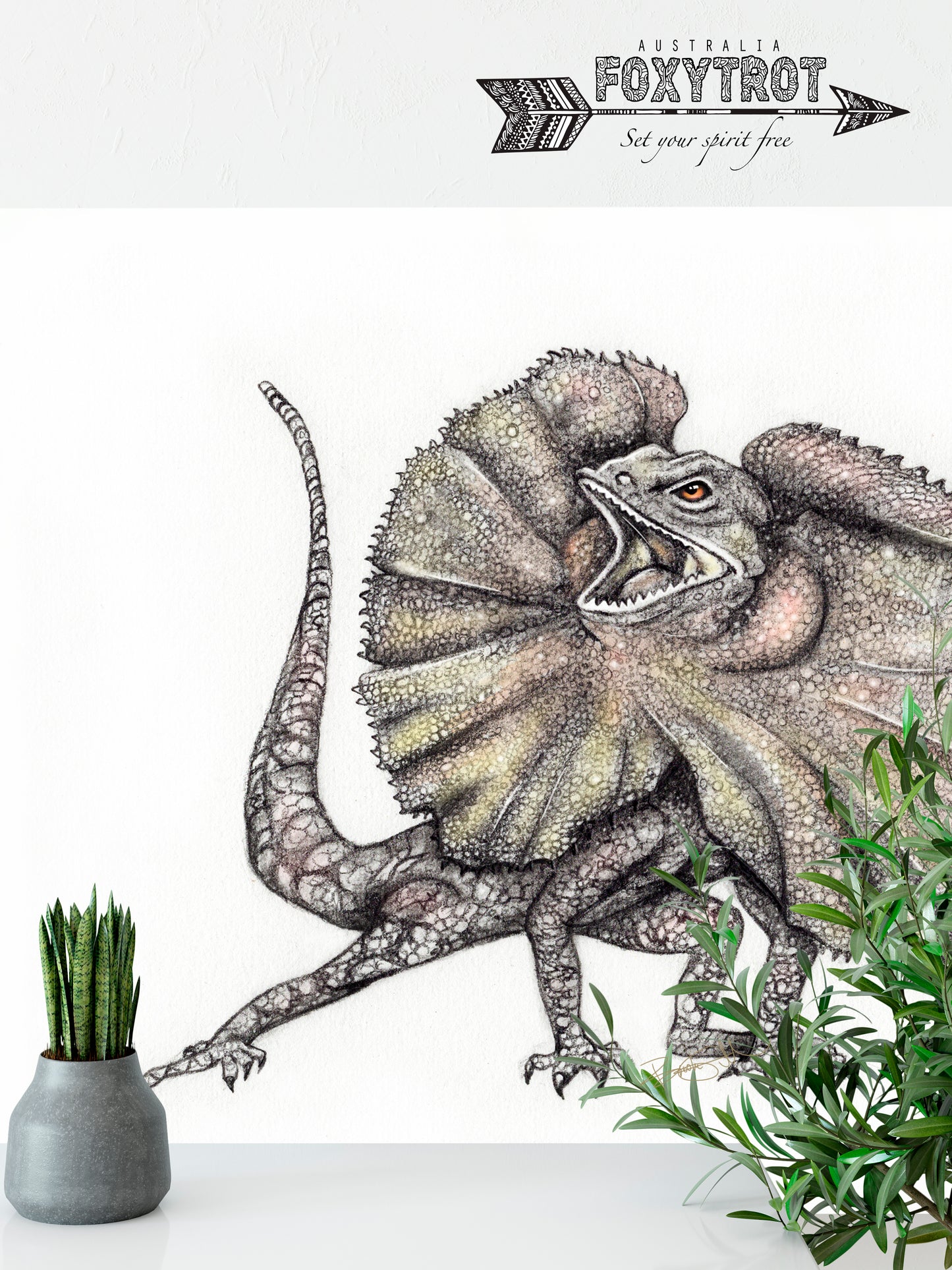 Frill Neck Lizard