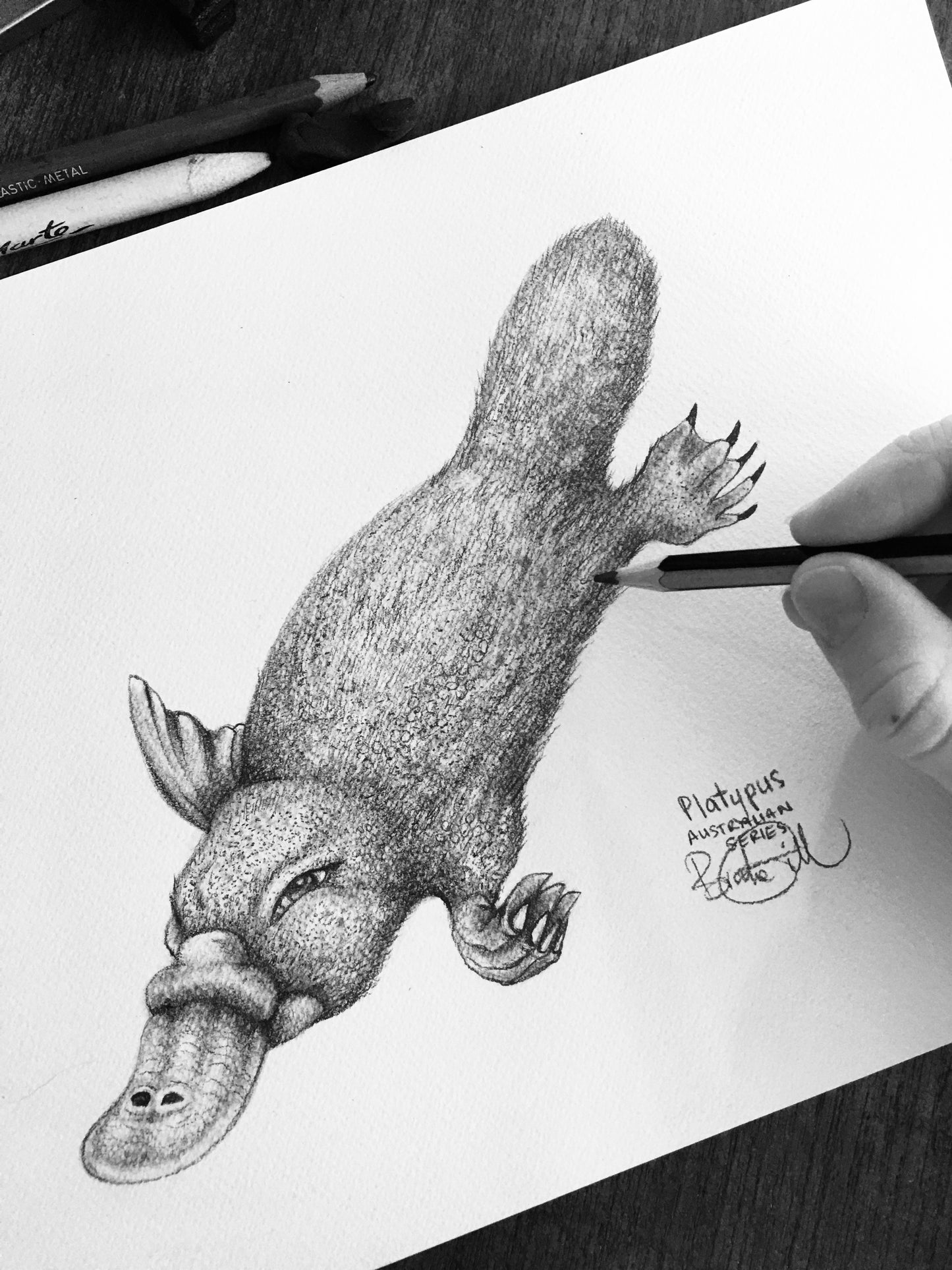 Platypus