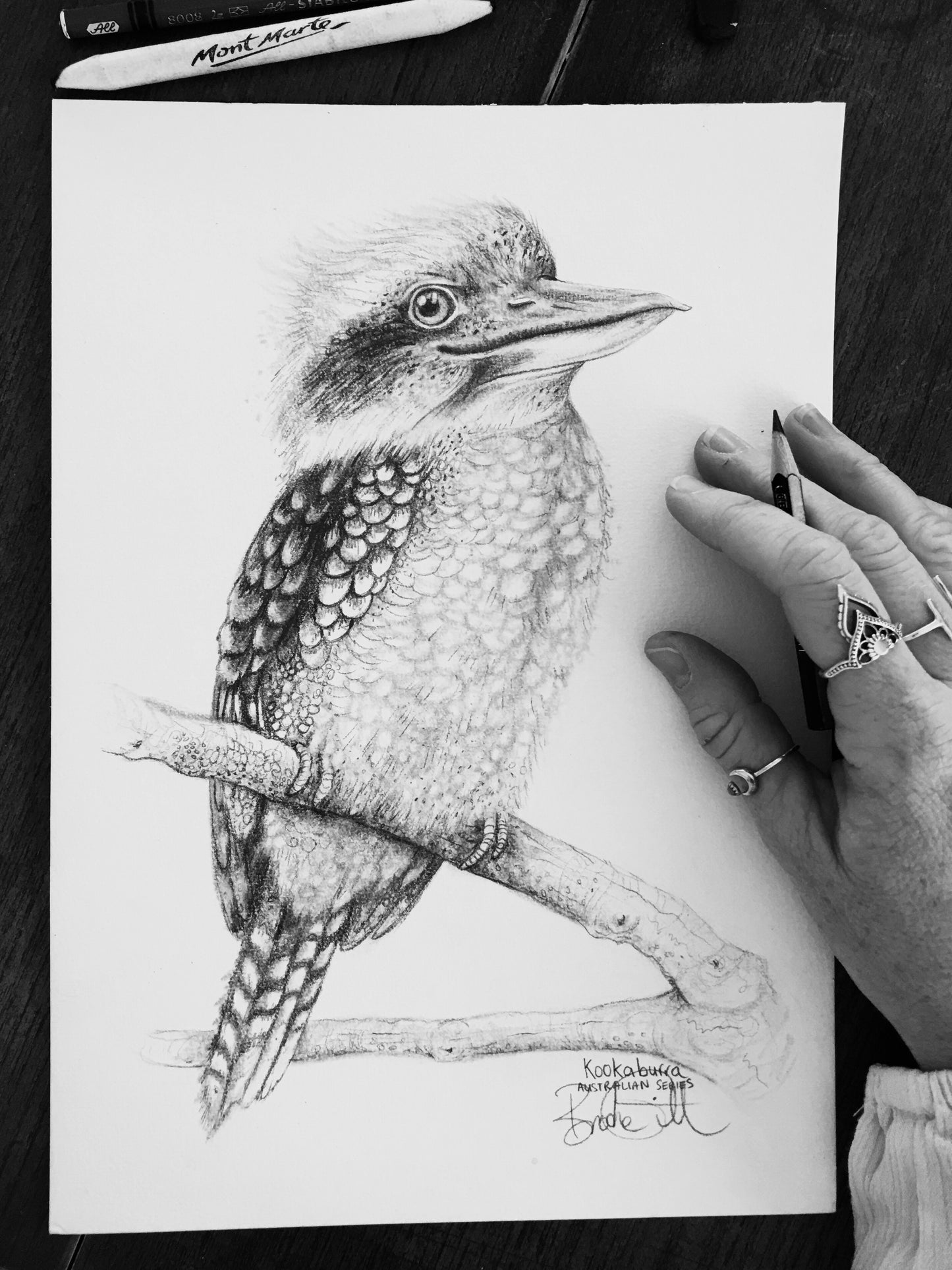 Kookaburra