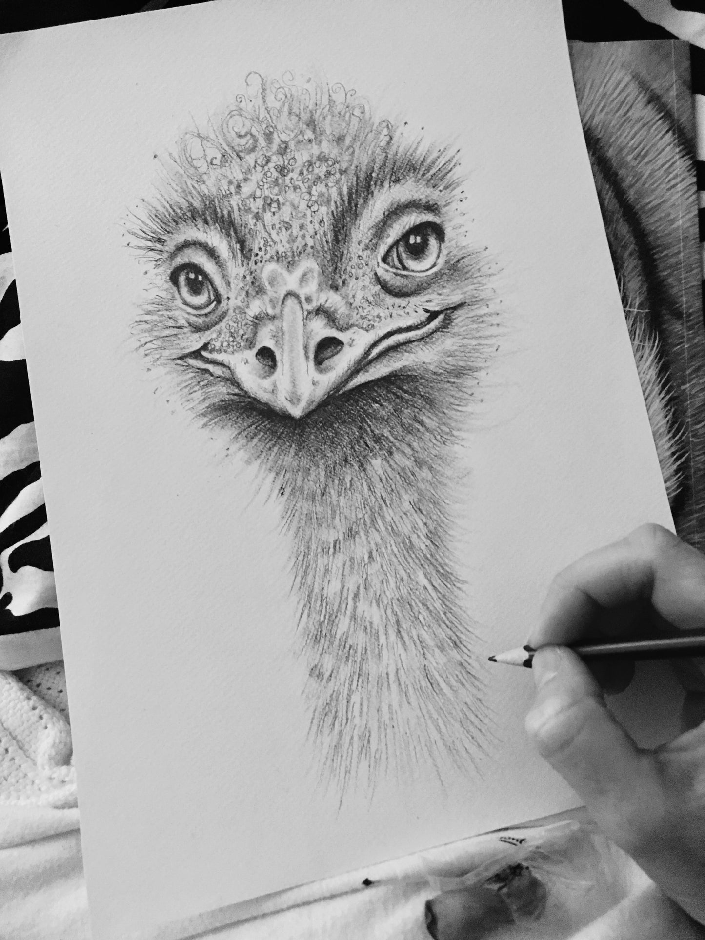 Emu
