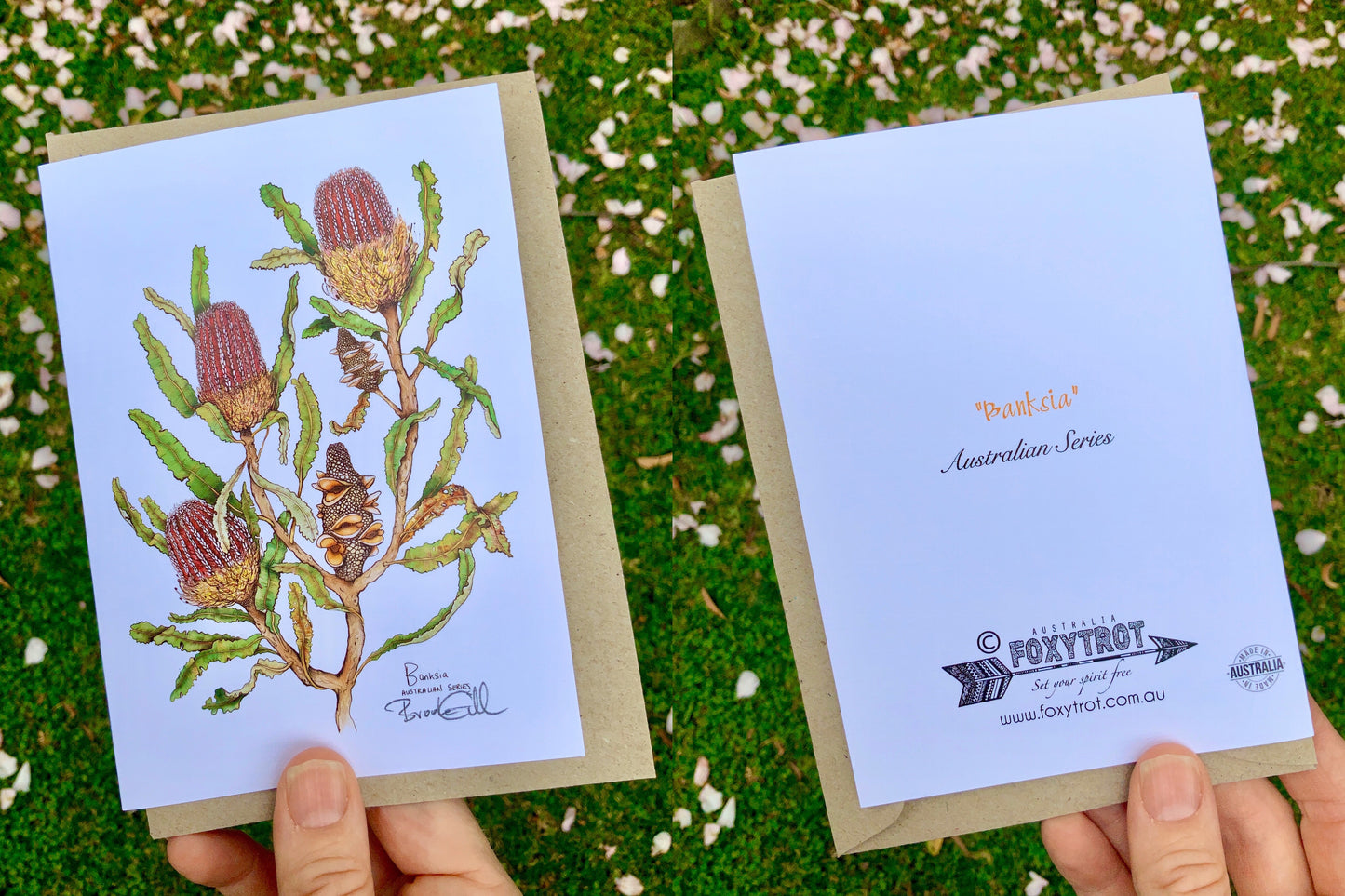 Banksia Card