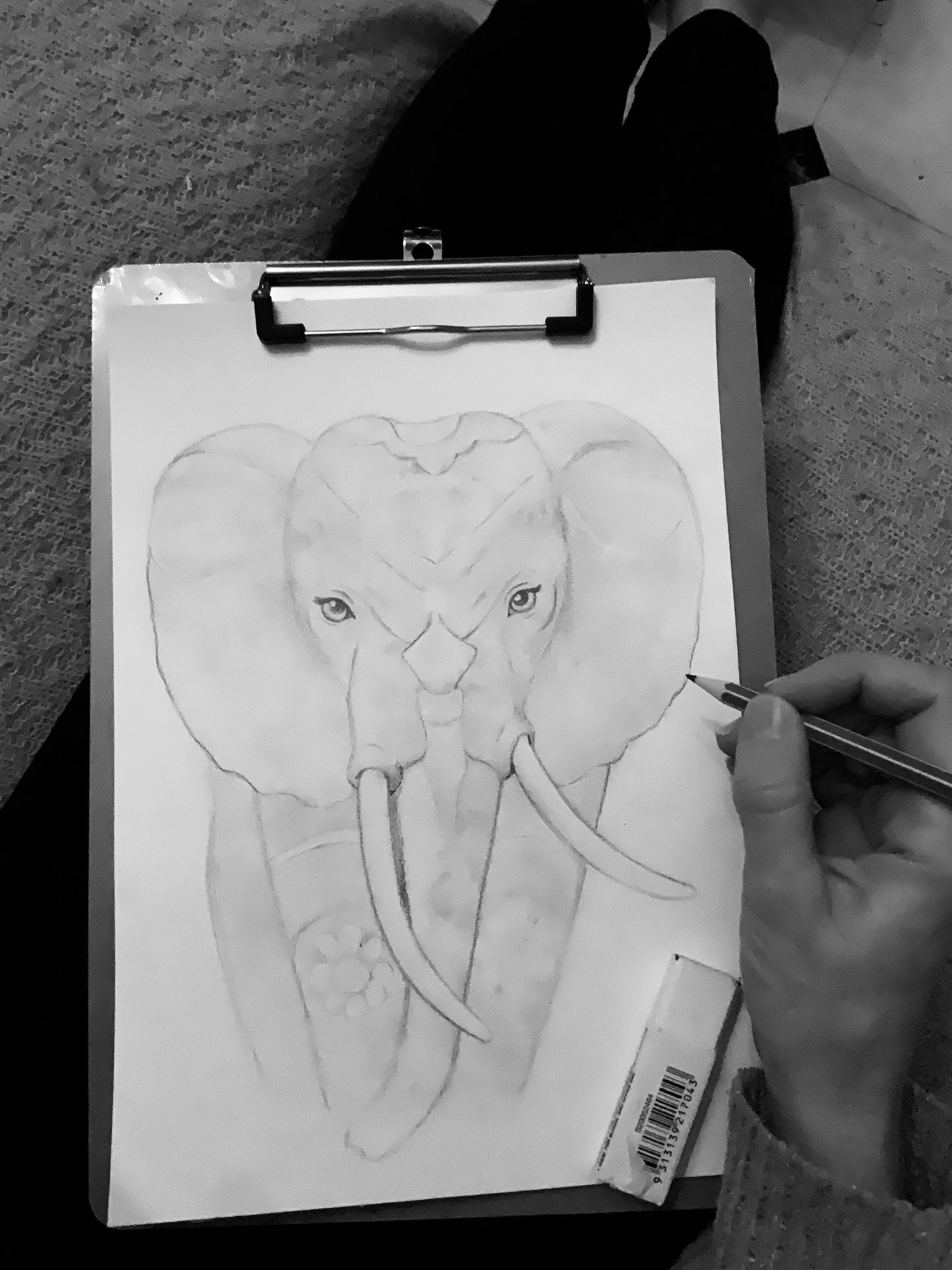 Rainbow Elephant