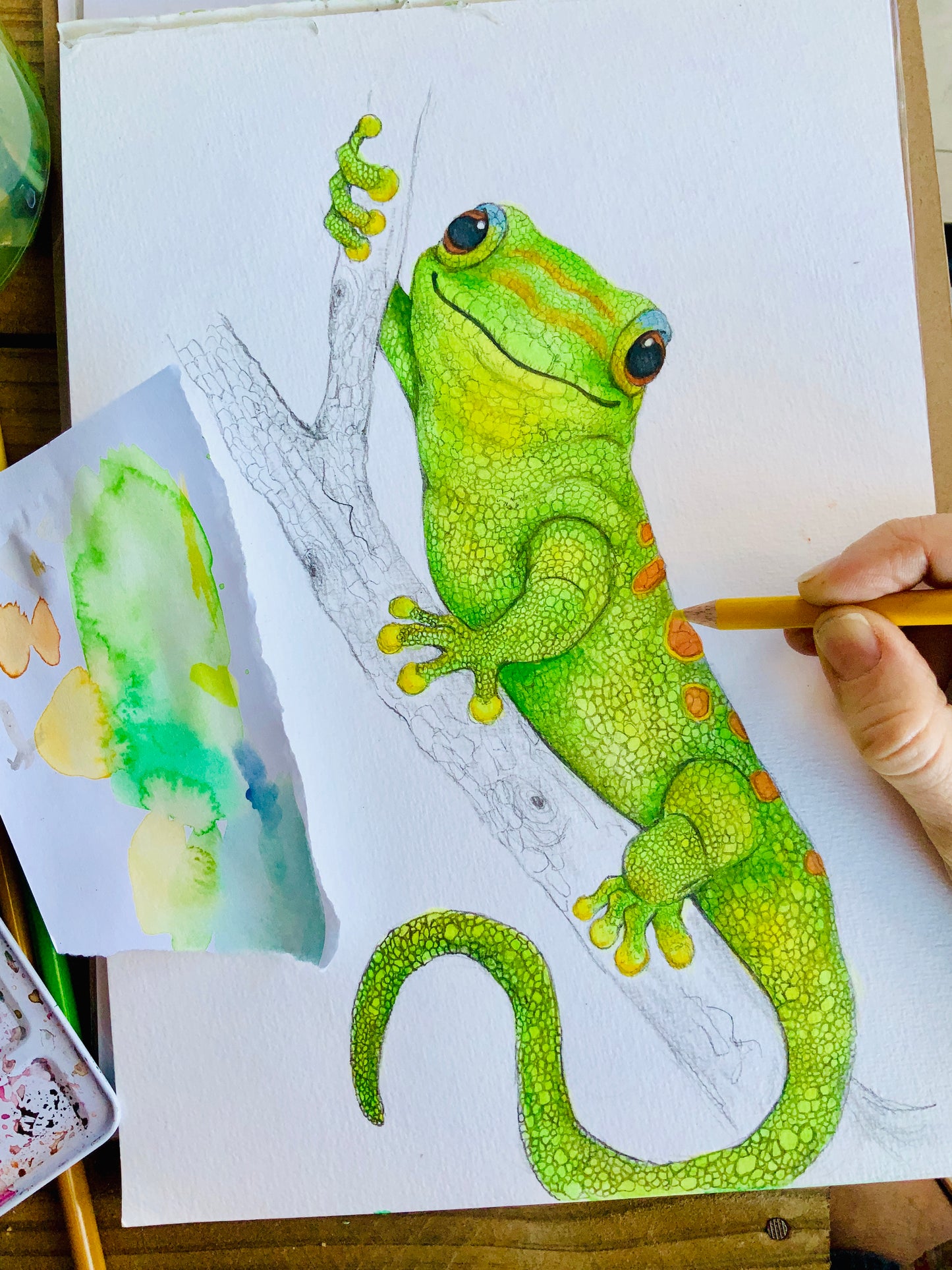 Green Gecko