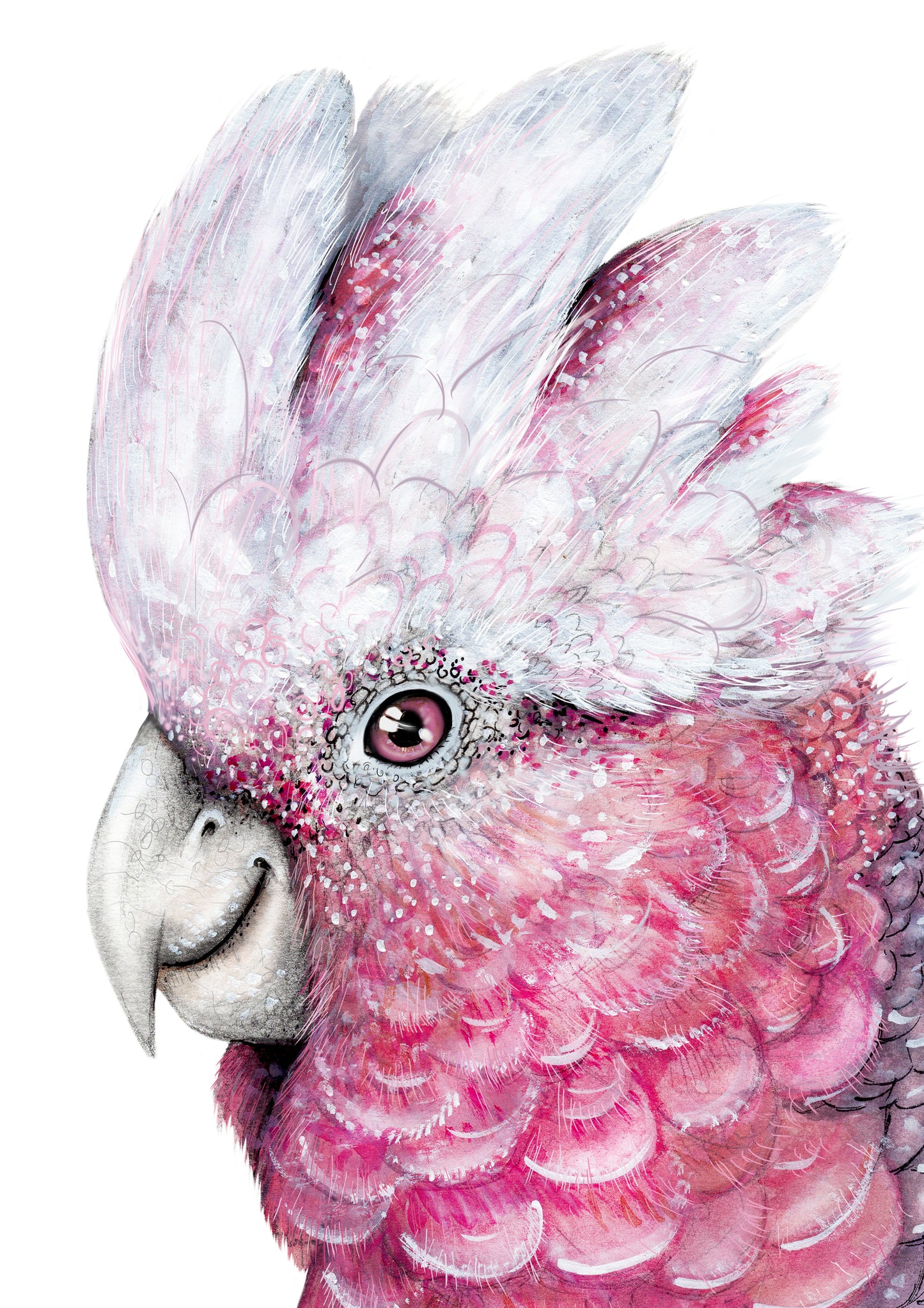 Flamin' Galah Cockatoo