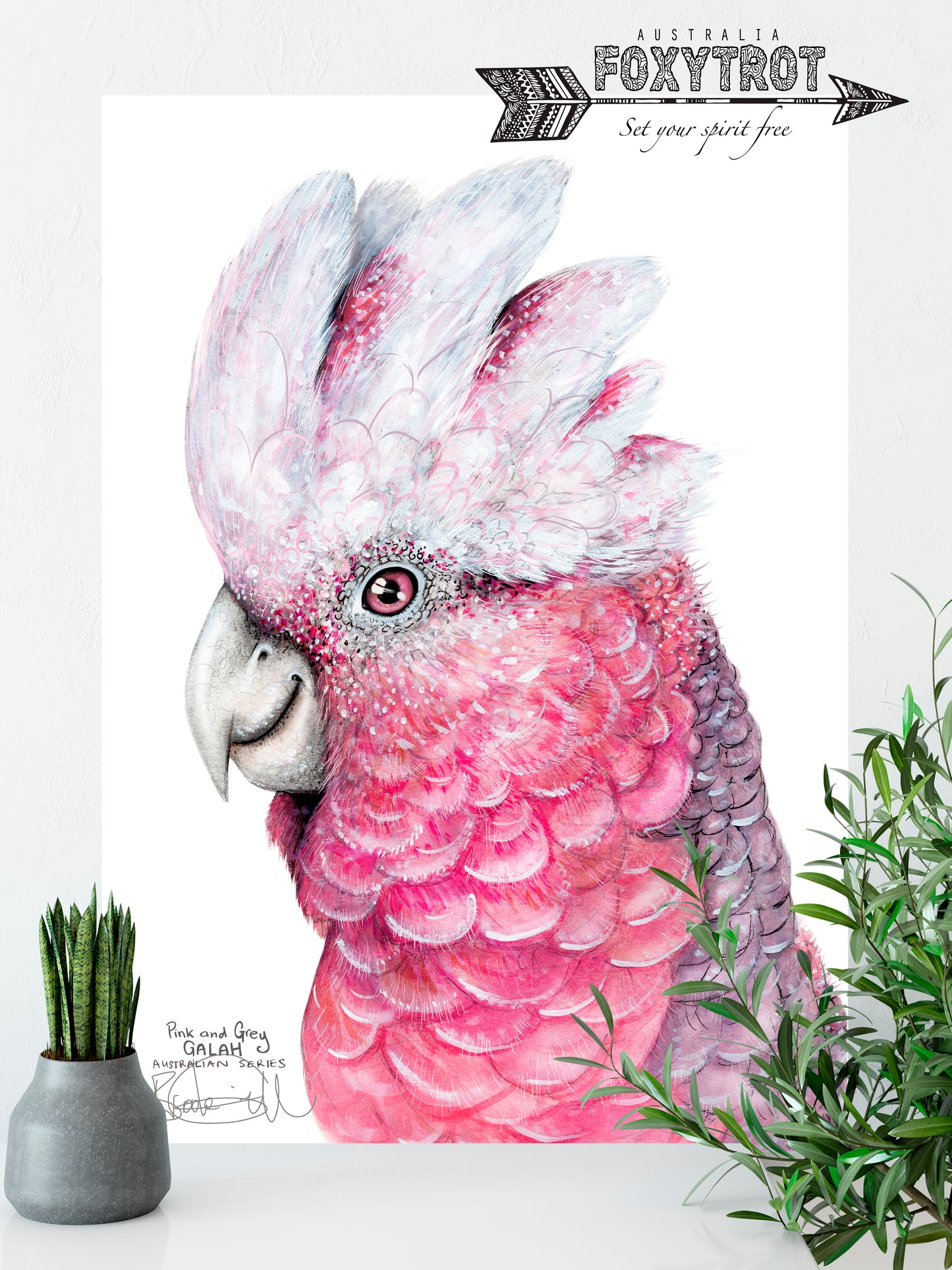 Flamin' Galah Cockatoo