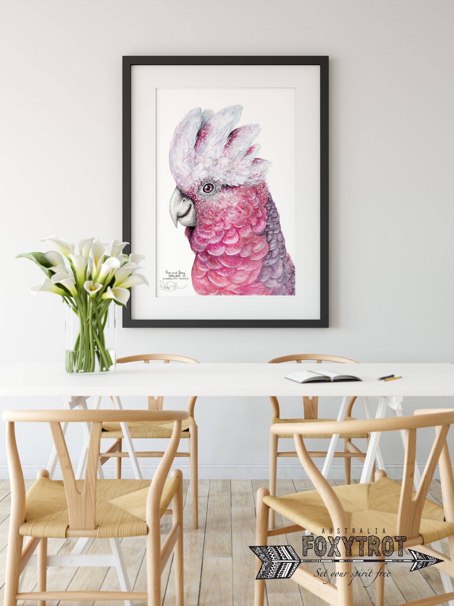 Flamin' Galah Cockatoo
