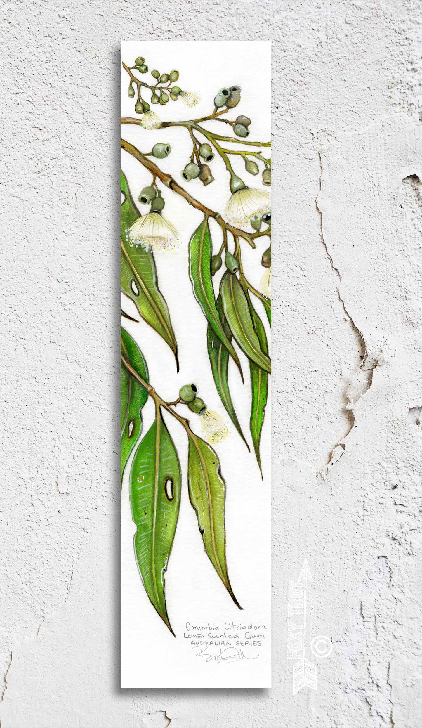 Lemon Scented Gum Bookmark
