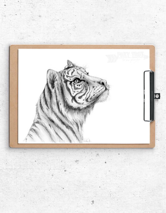 Hopeful Tiger