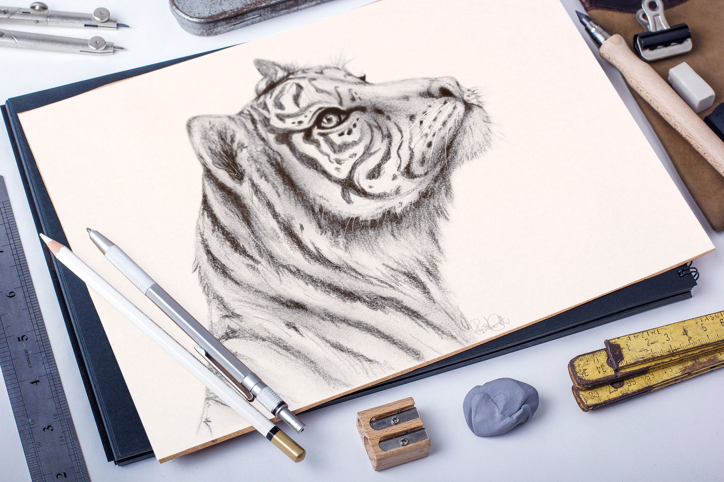 Hopeful Tiger