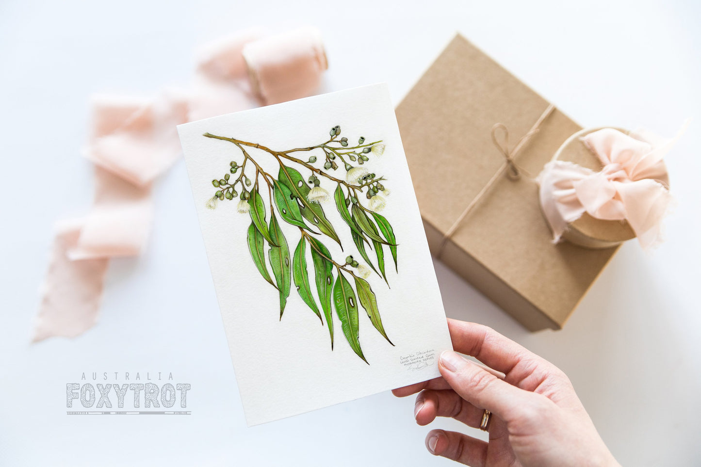 Lemon Scented Gum Card