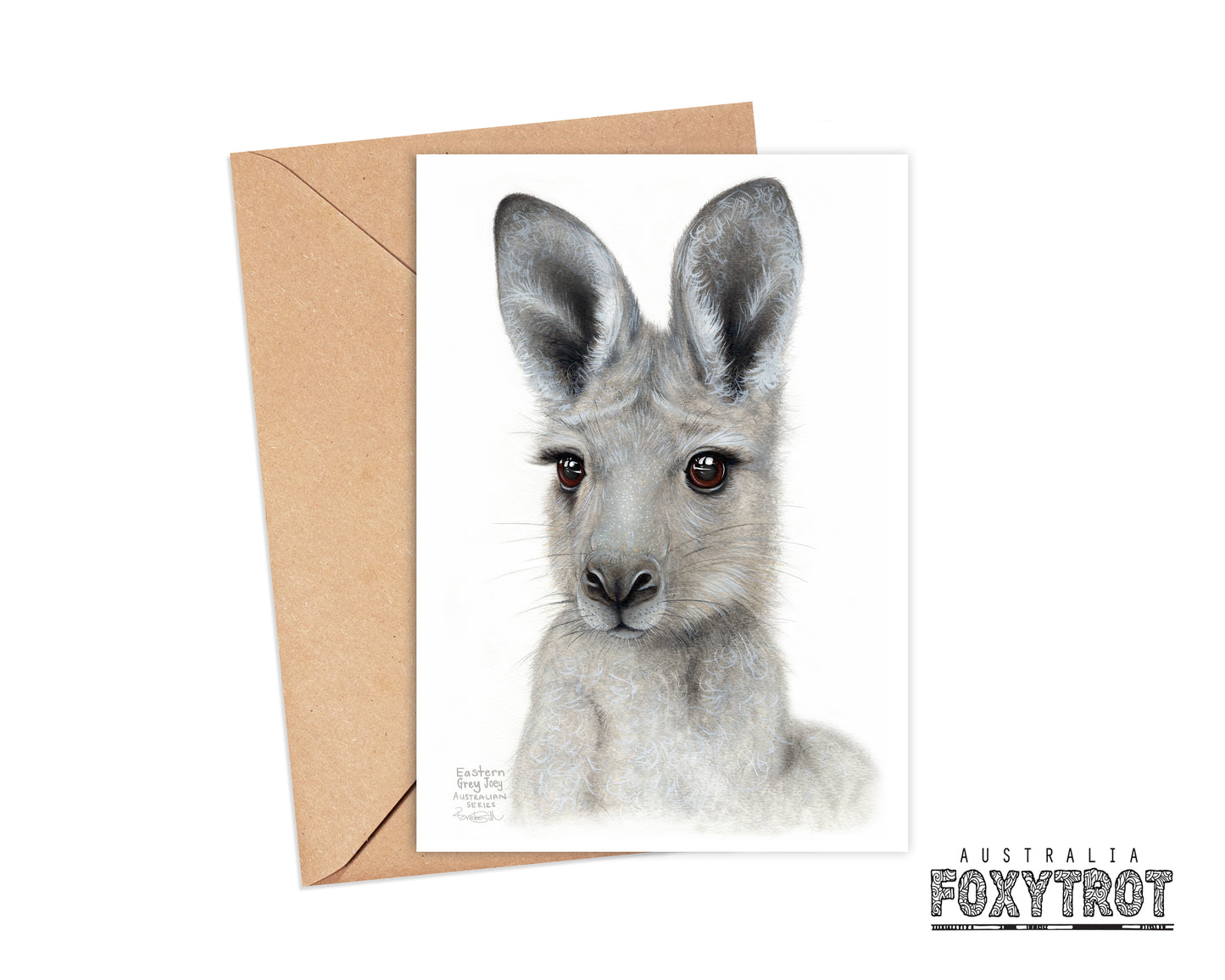 Eastern Grey Joey Card