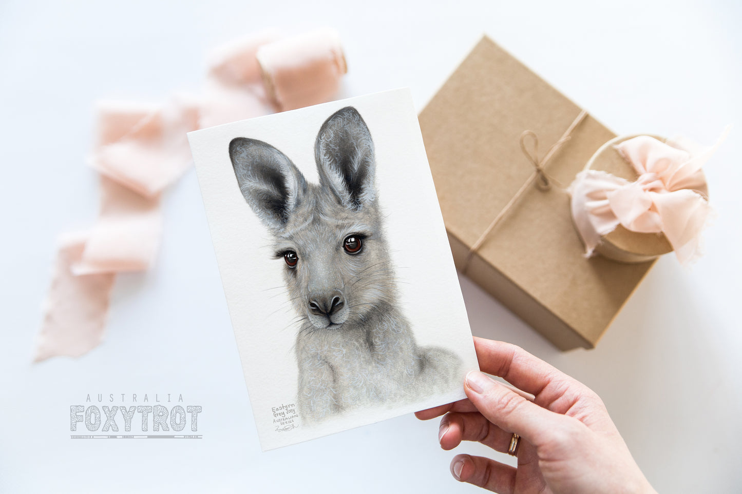 Eastern Grey Joey Card