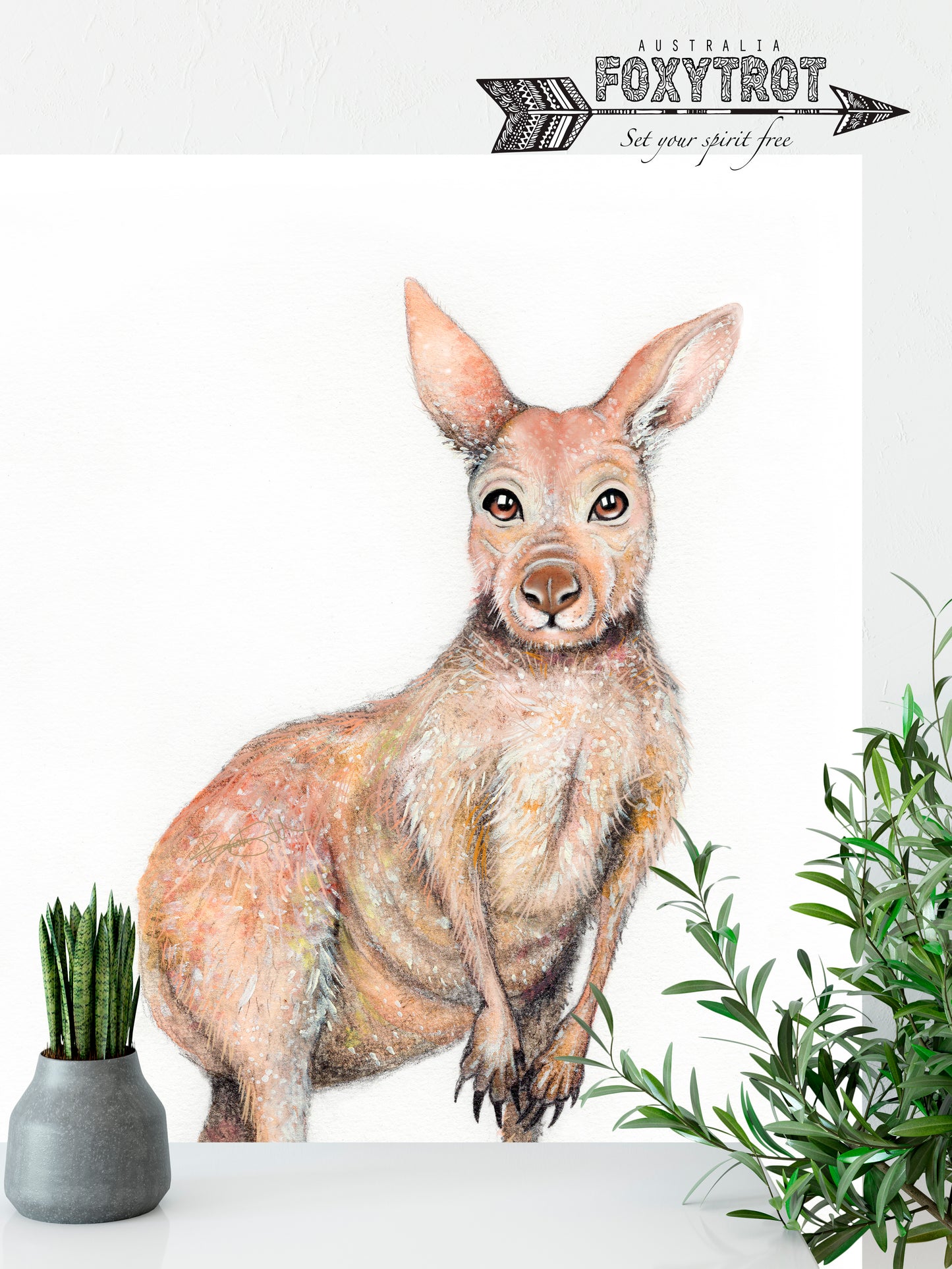 Kangaroo