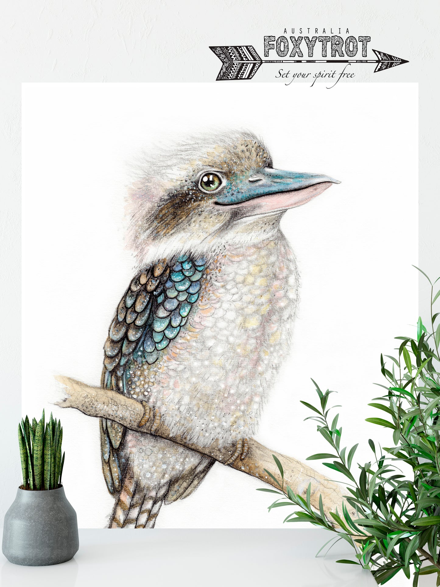 Kookaburra