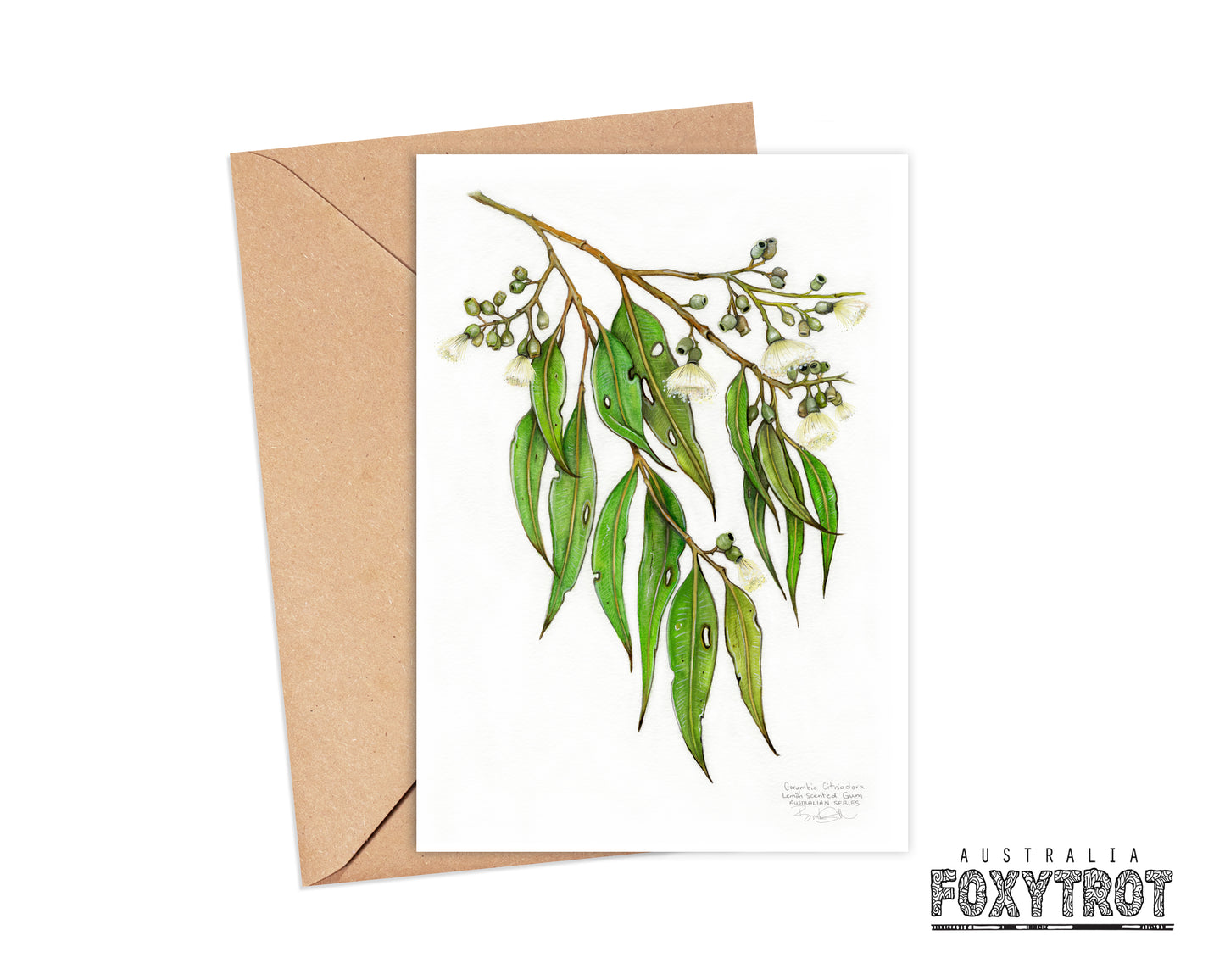 Lemon Scented Gum Card