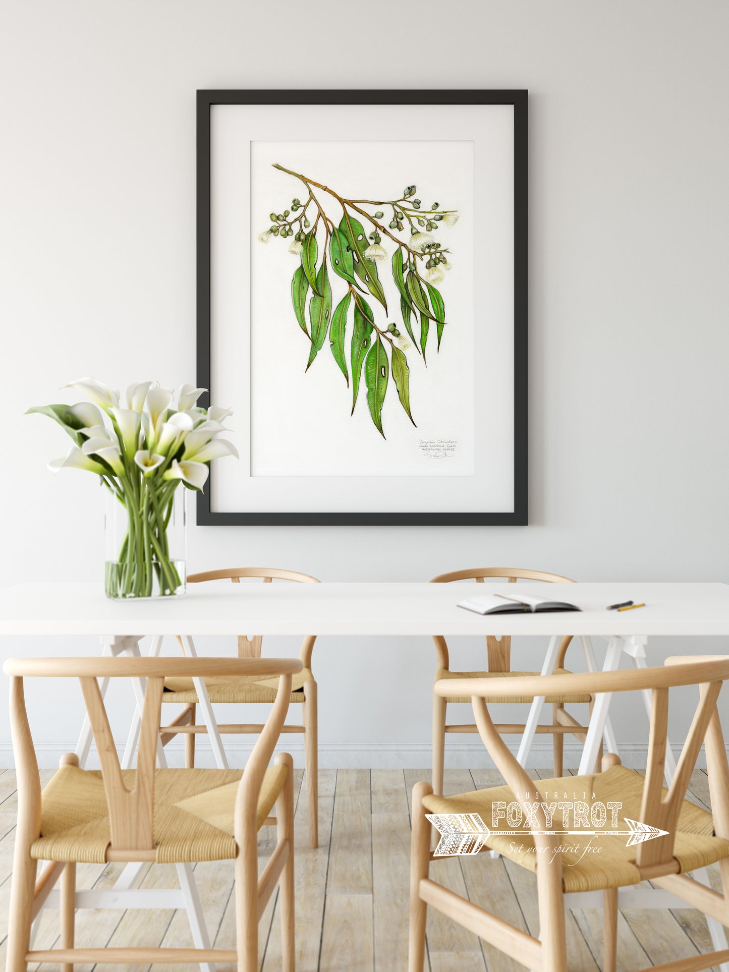 Lemon Scented Gum
