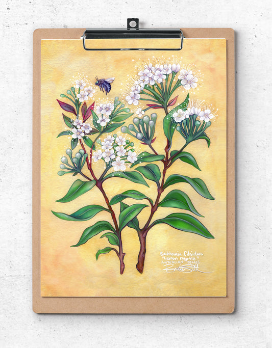 Lemon Myrtle