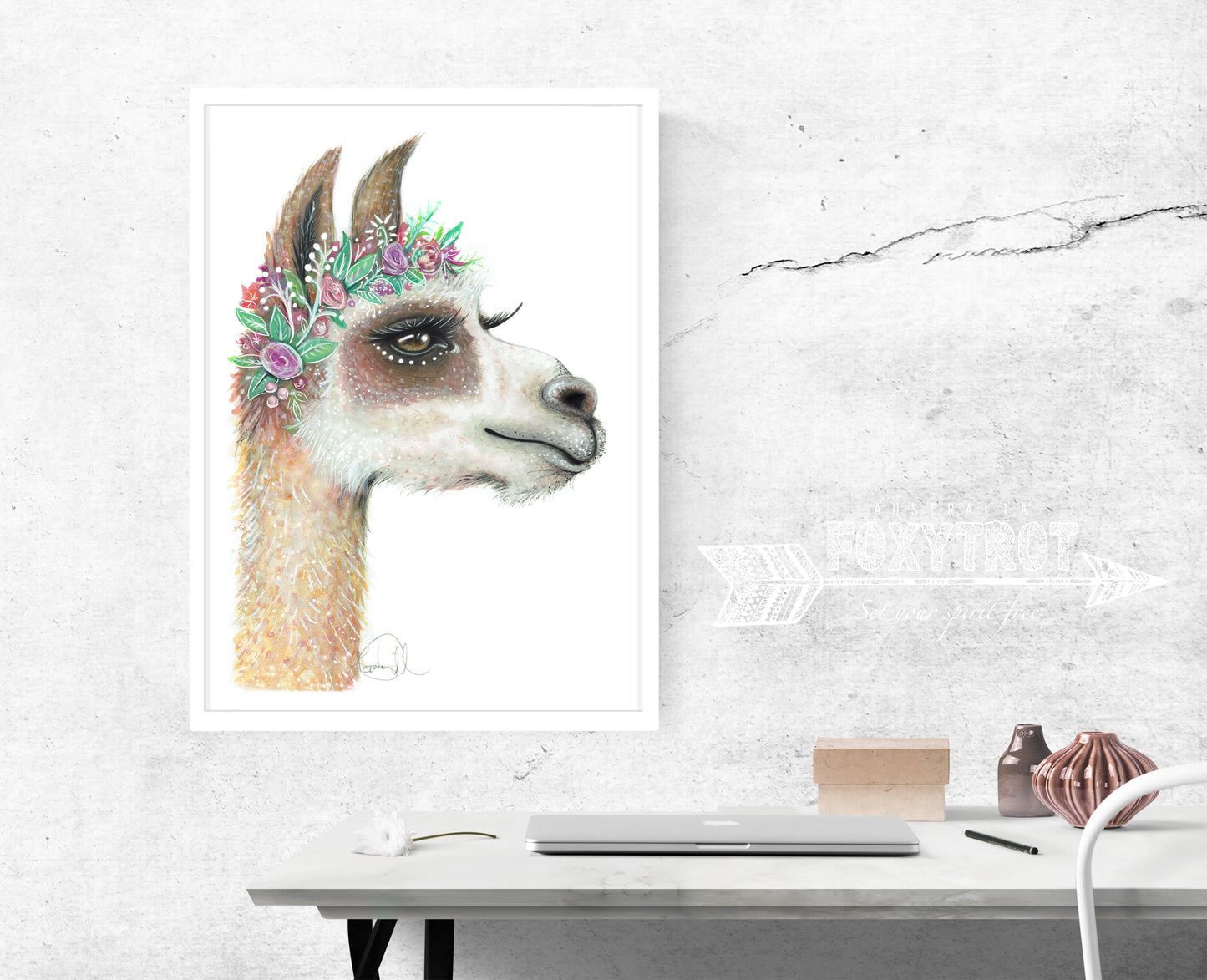 Lola the Llama