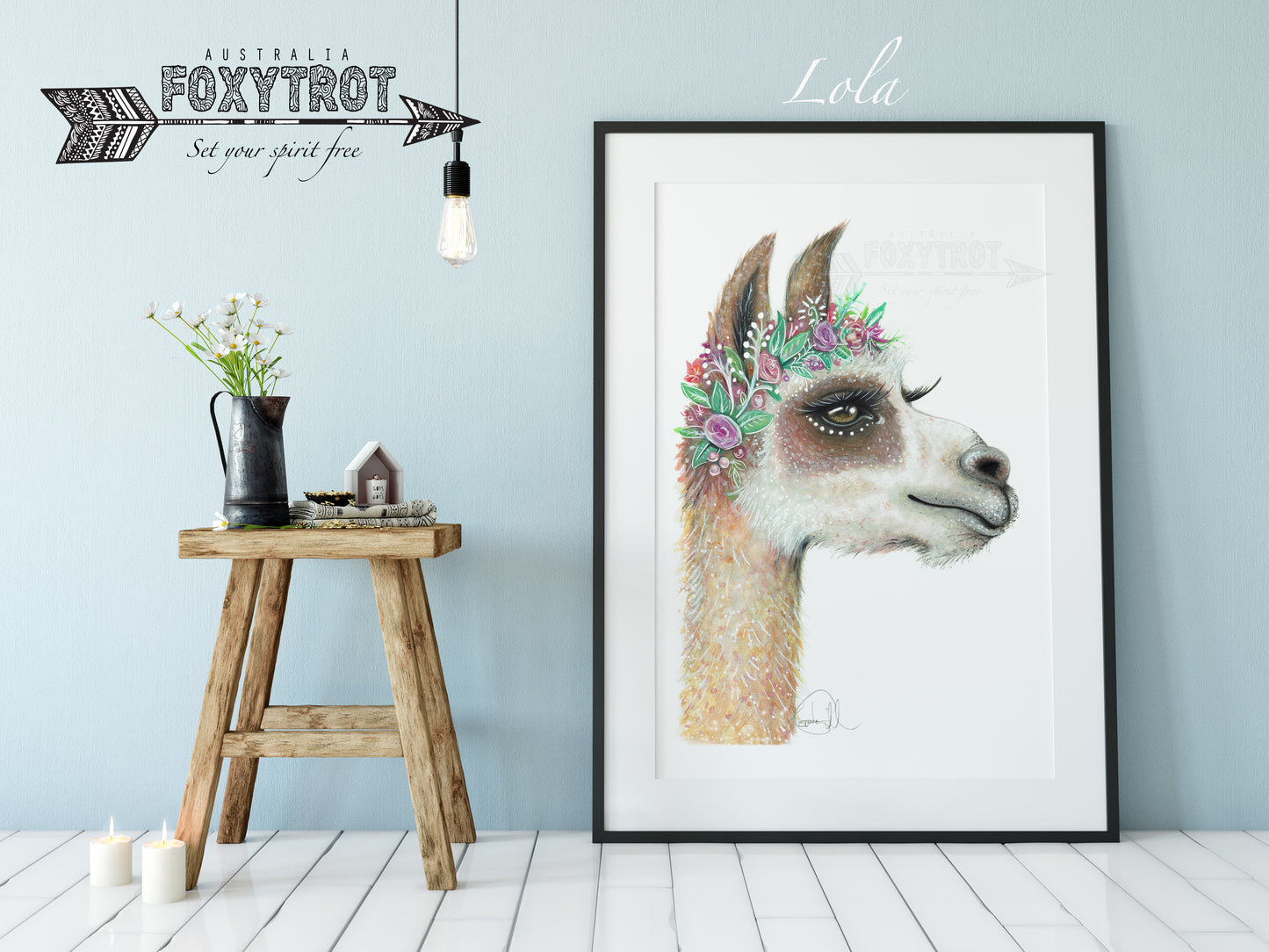 Lola the Llama