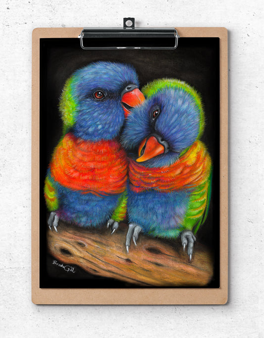 Lorikeet Love Birds