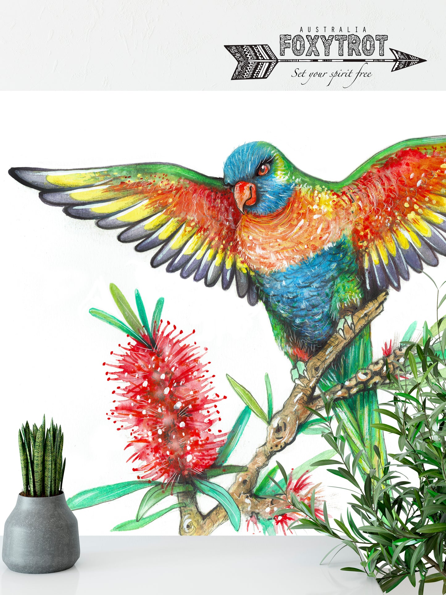 Rainbow Lorikeet