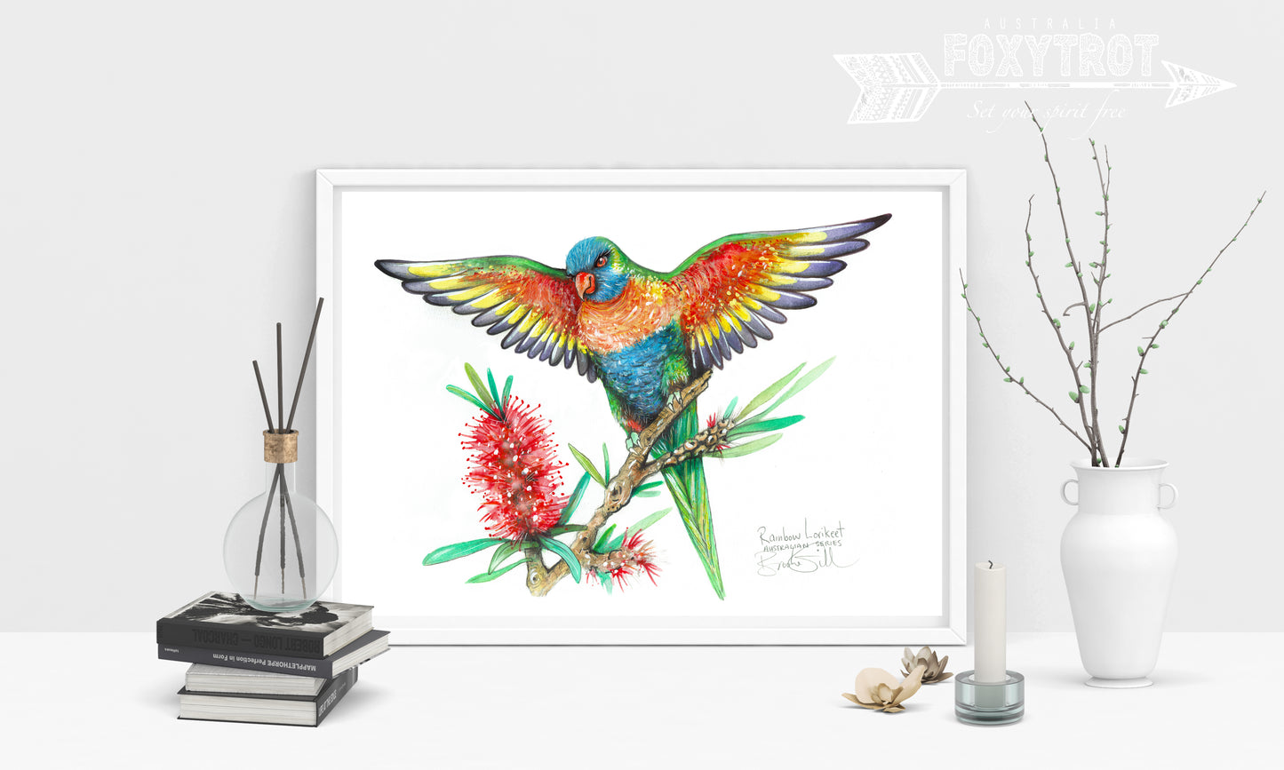 Rainbow Lorikeet