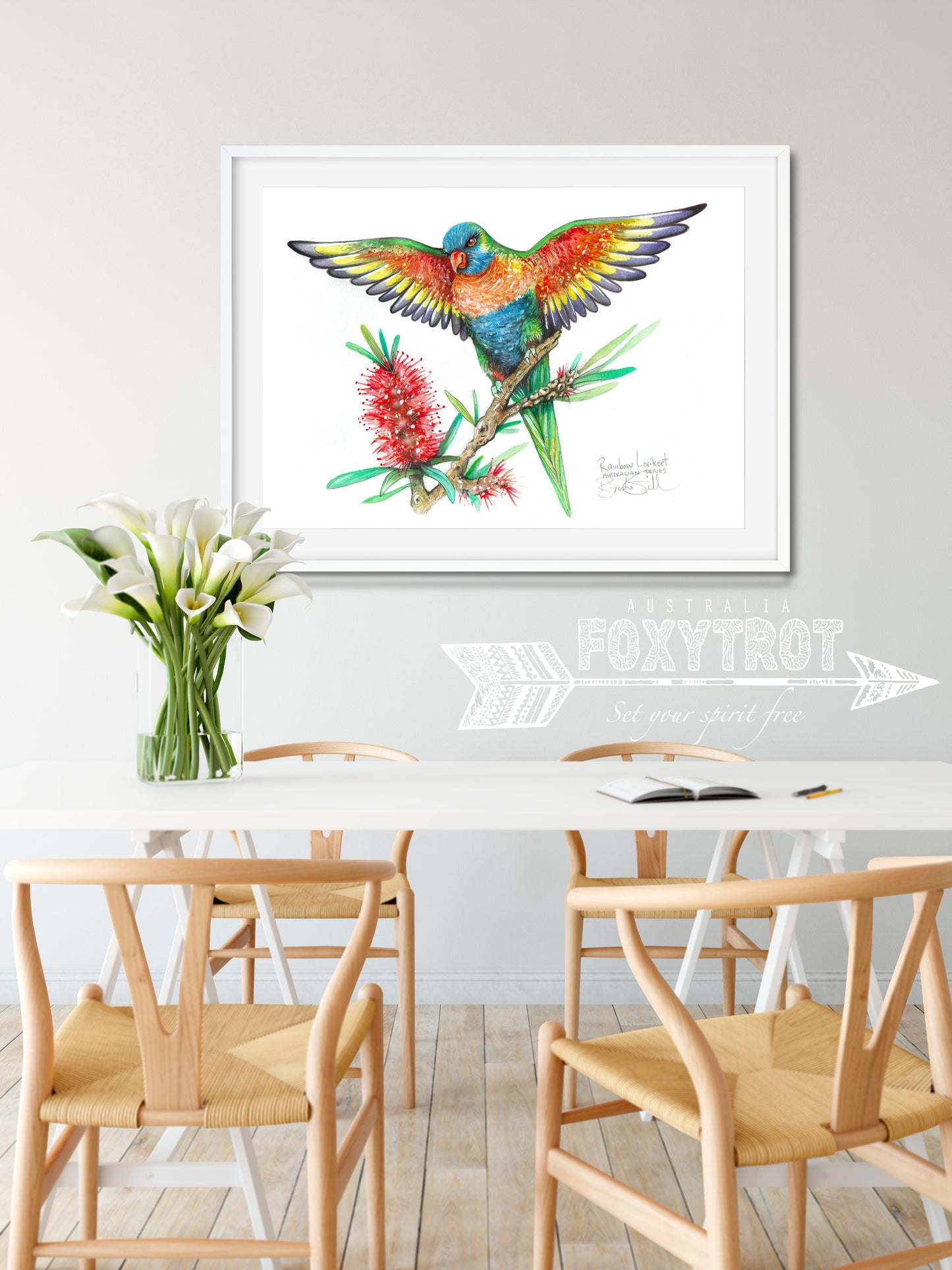 Rainbow Lorikeet
