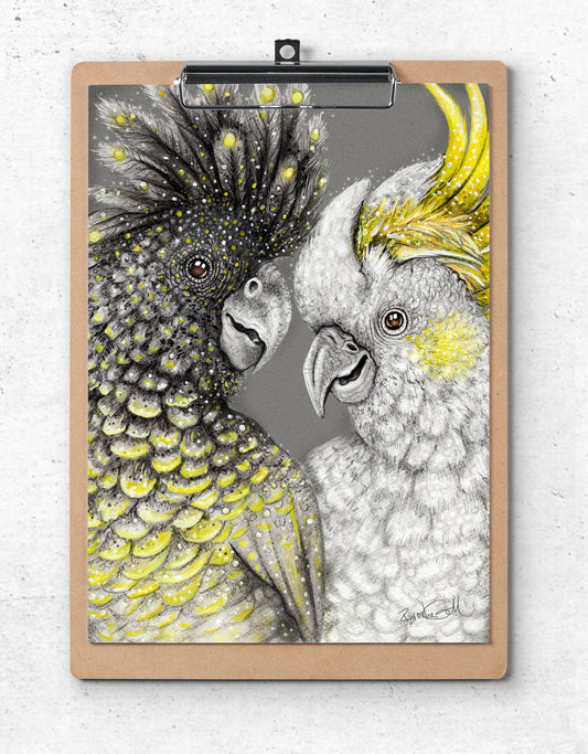 Love Birds