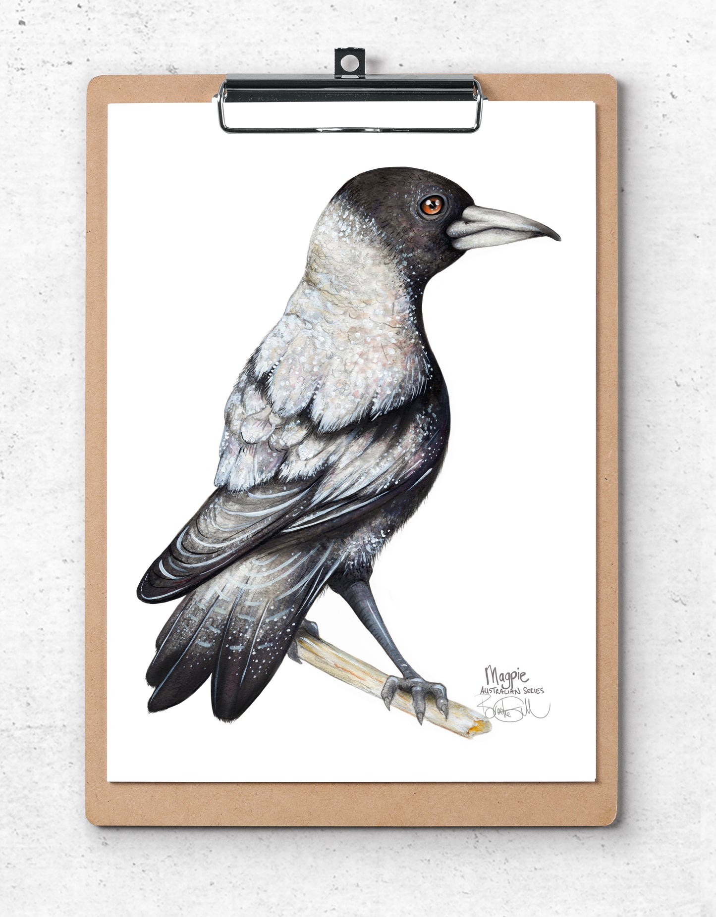 Magpie