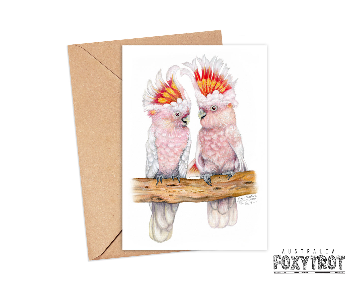 5 pack of Lovebird Cards