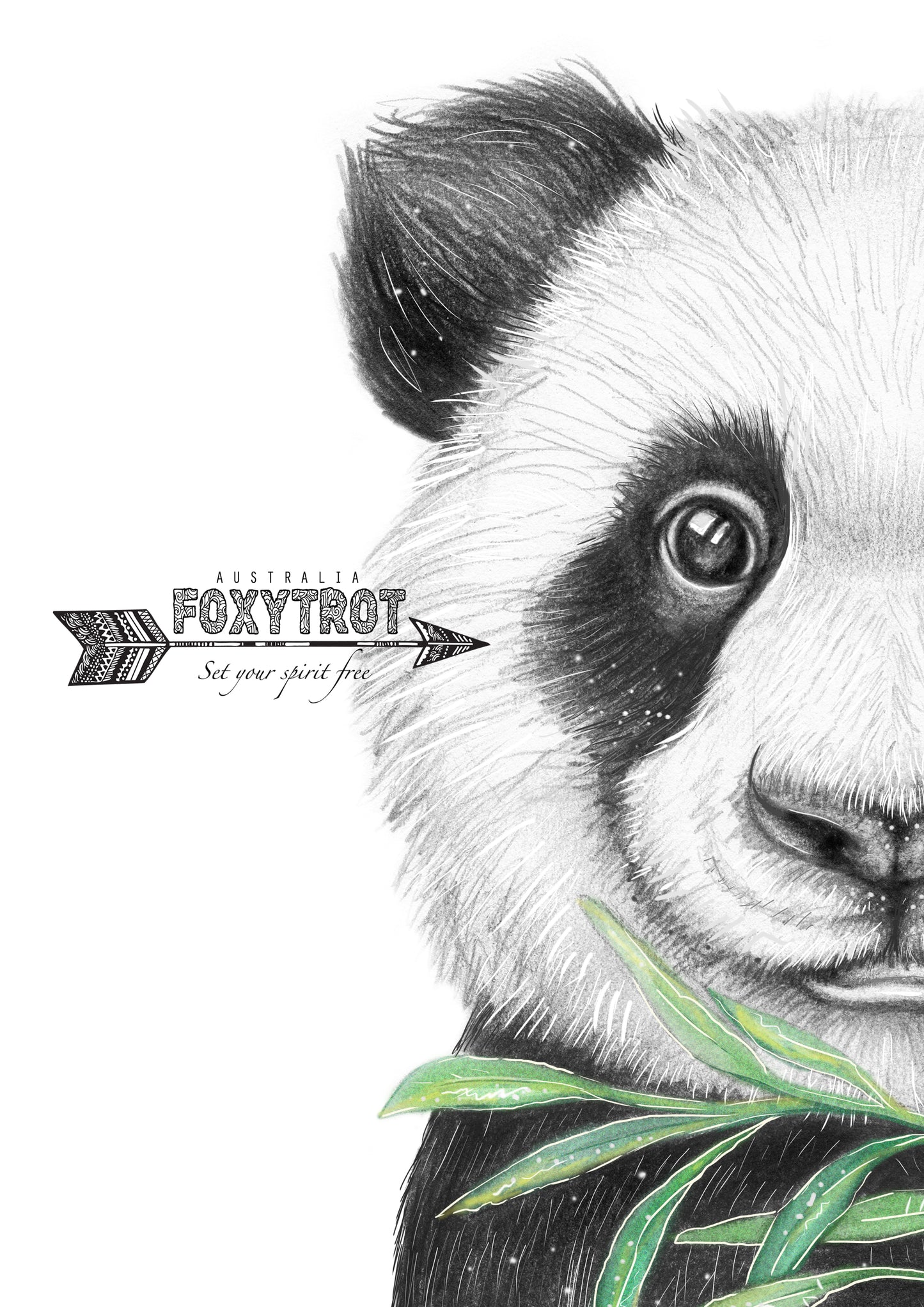 Chi Chi the Panda