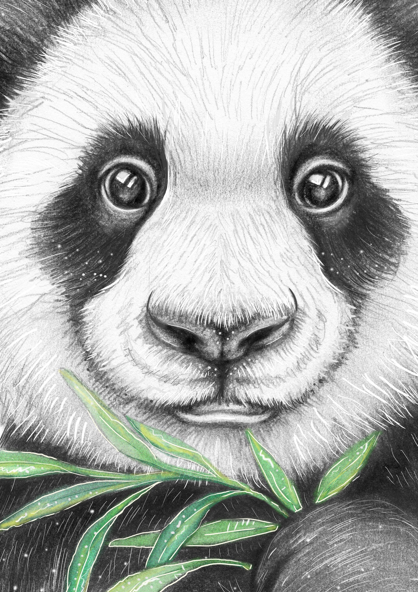 Chi Chi the Panda