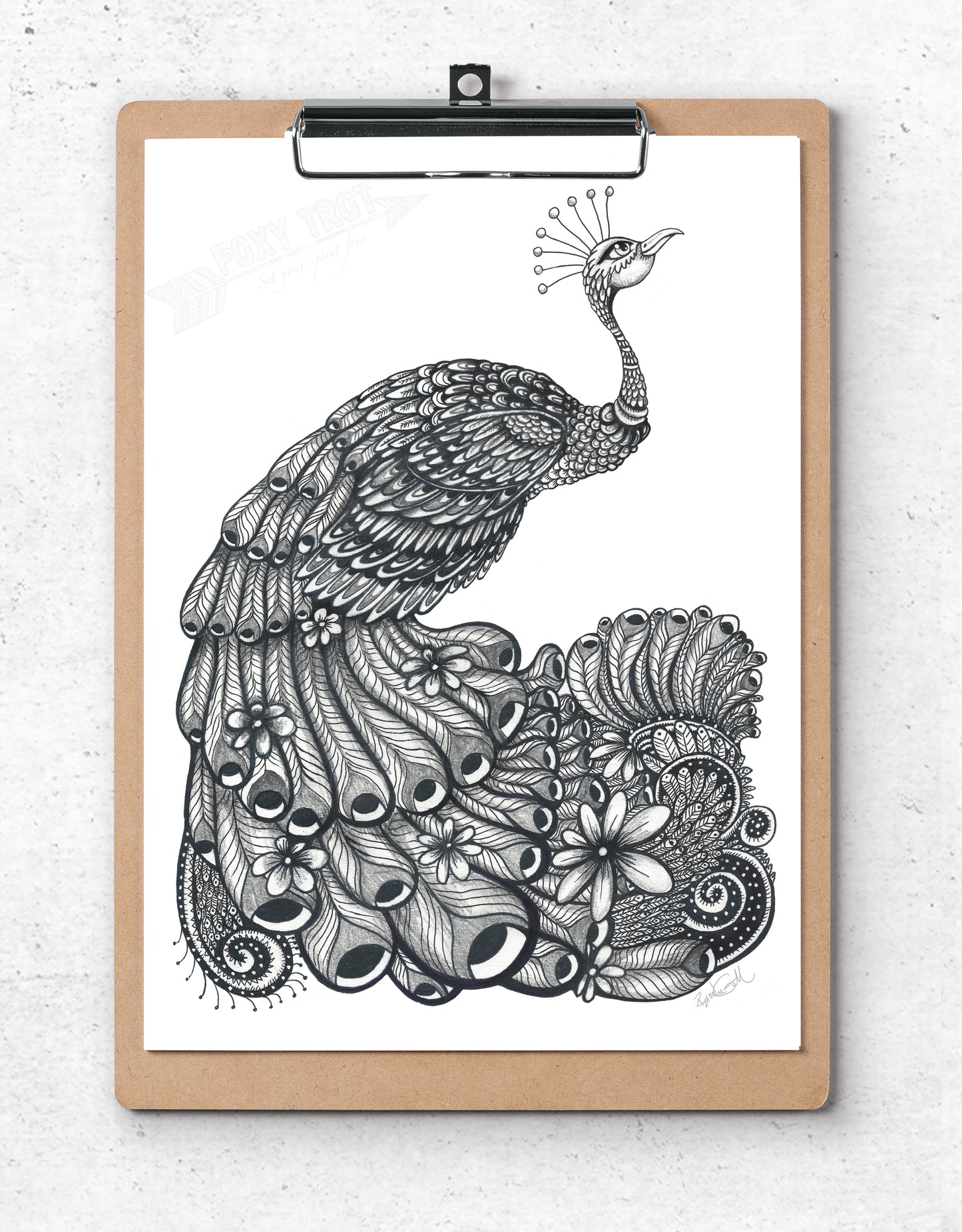 Peacock