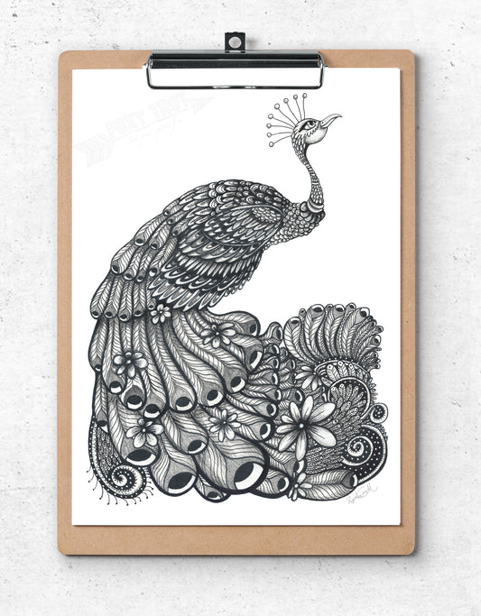 Peacock