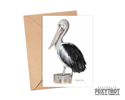 Australian Pelican Card