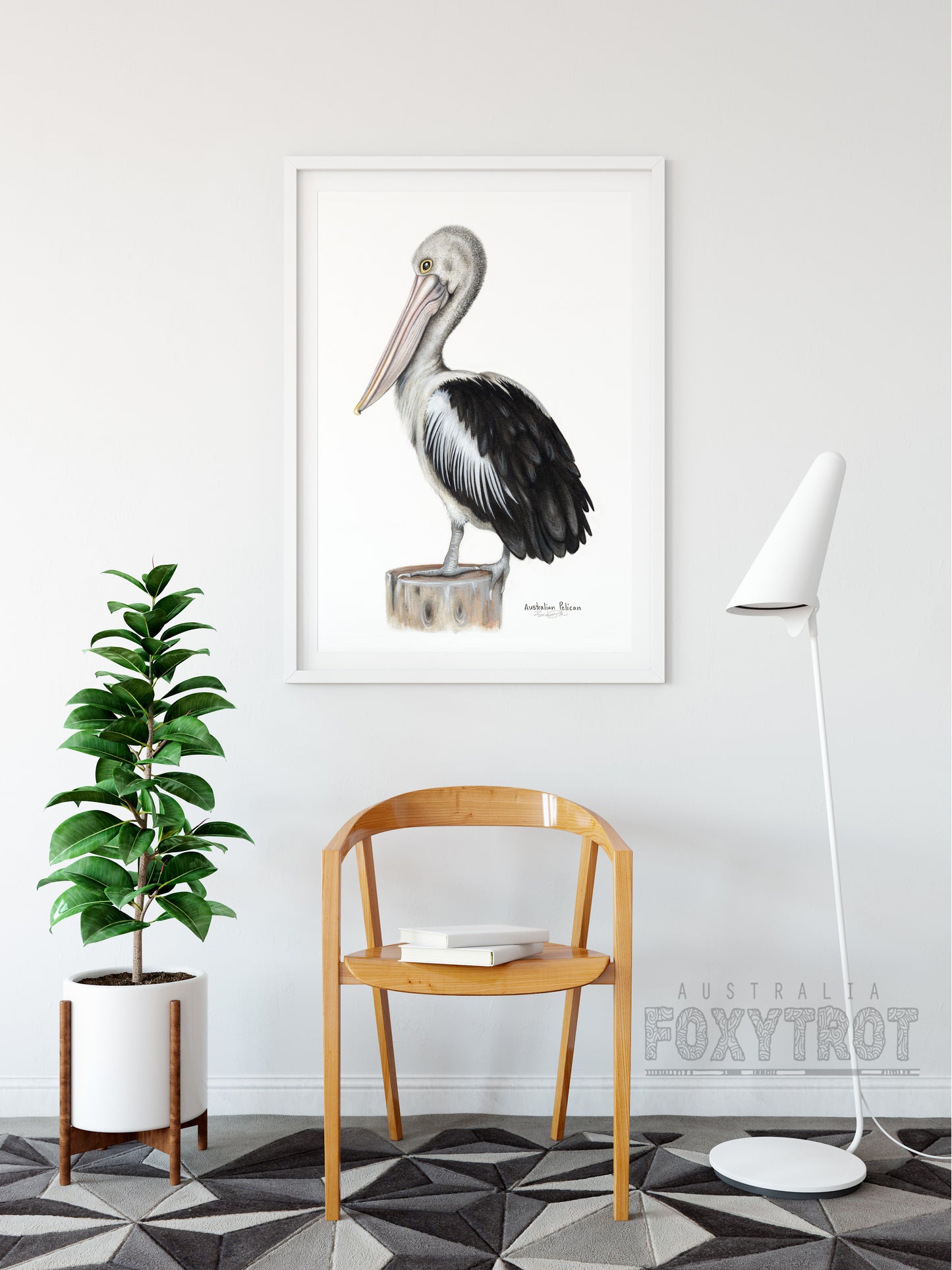 Australian Pelican