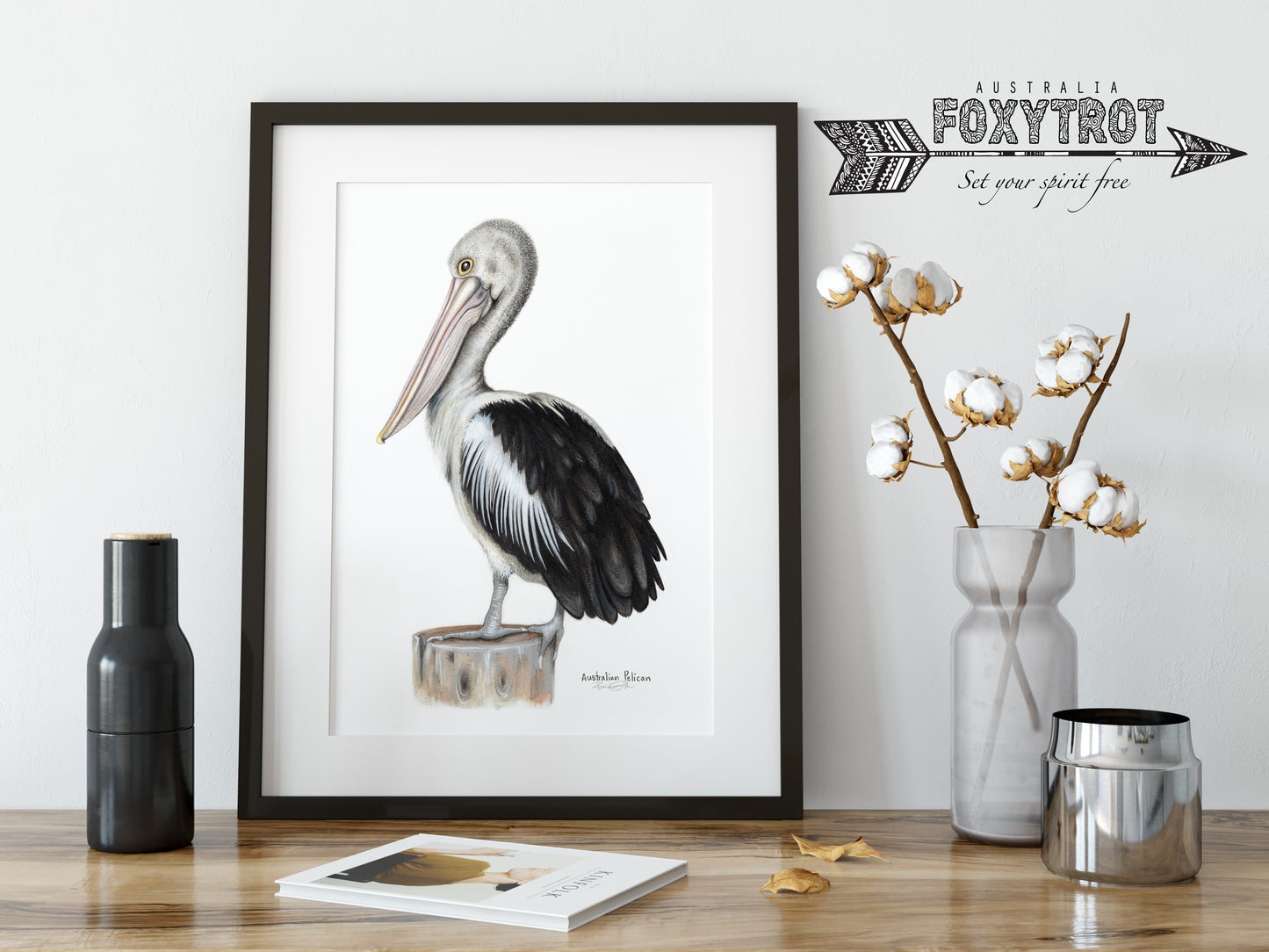 Australian Pelican