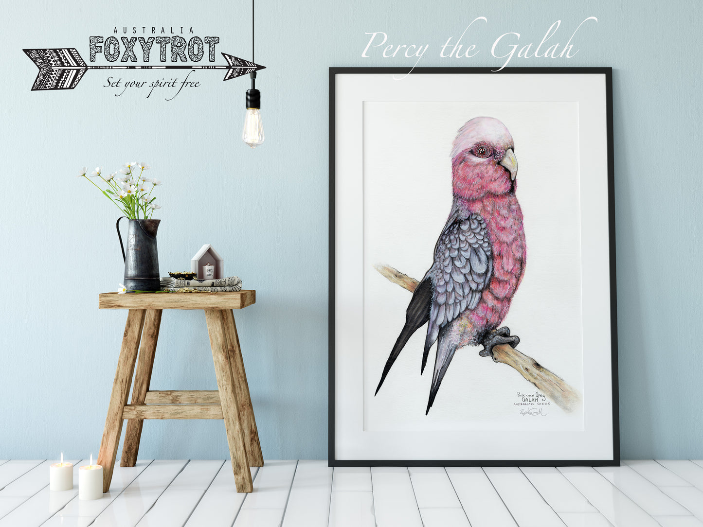 Percy the Galah