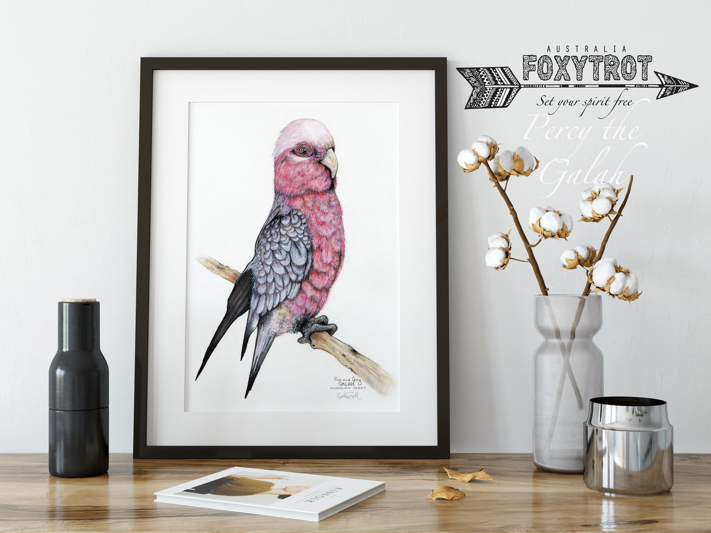 Percy the Galah