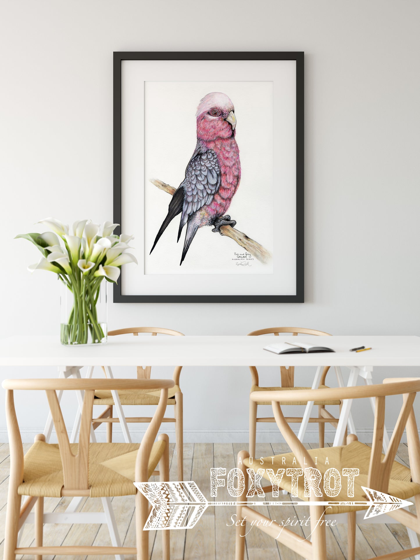 Percy the Galah