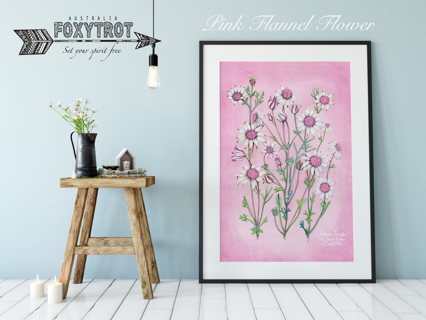 Pink Flannel Flower