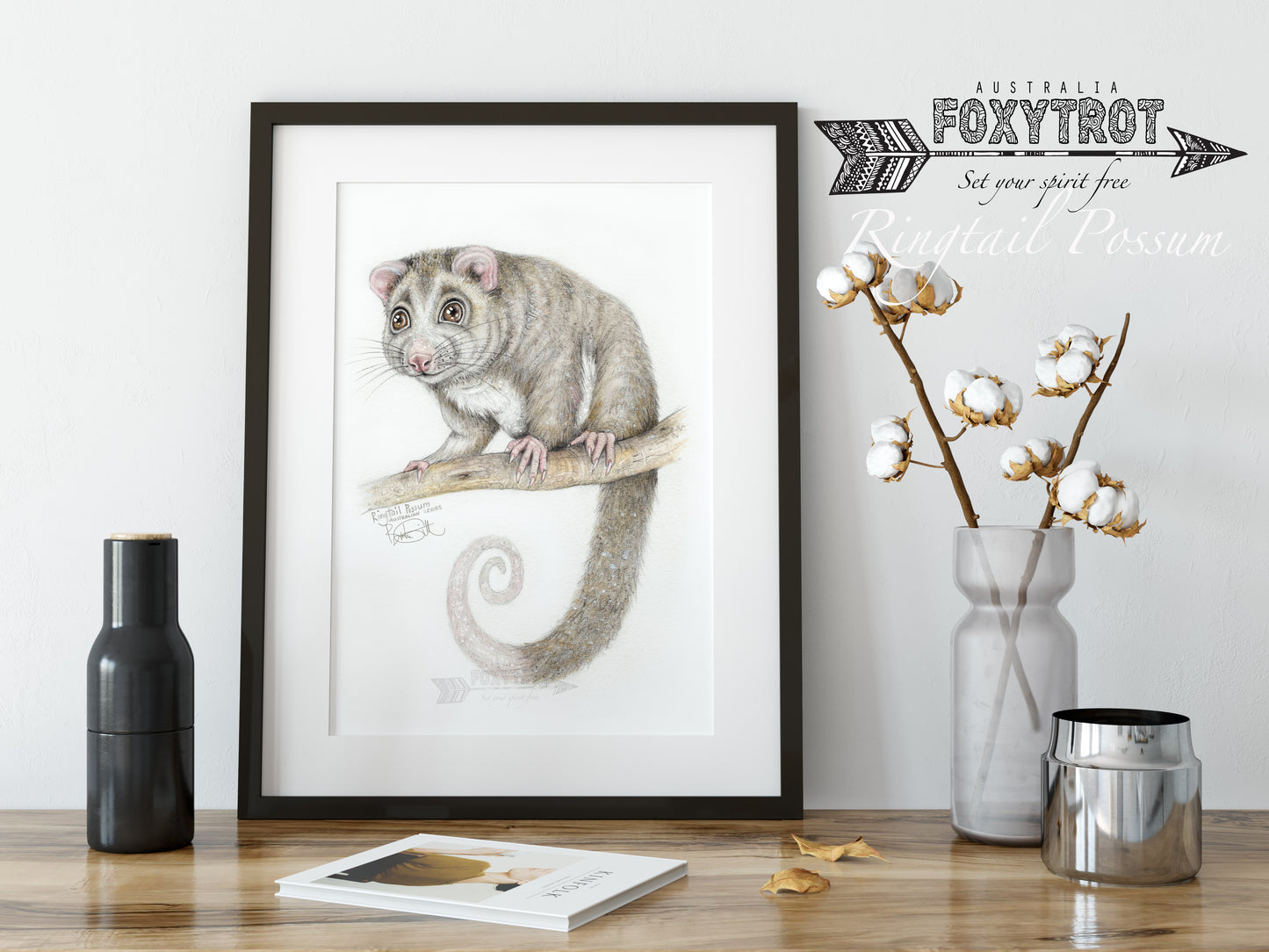 Ringtail Possum
